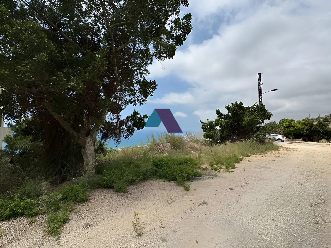 Land for Sale in Fidar