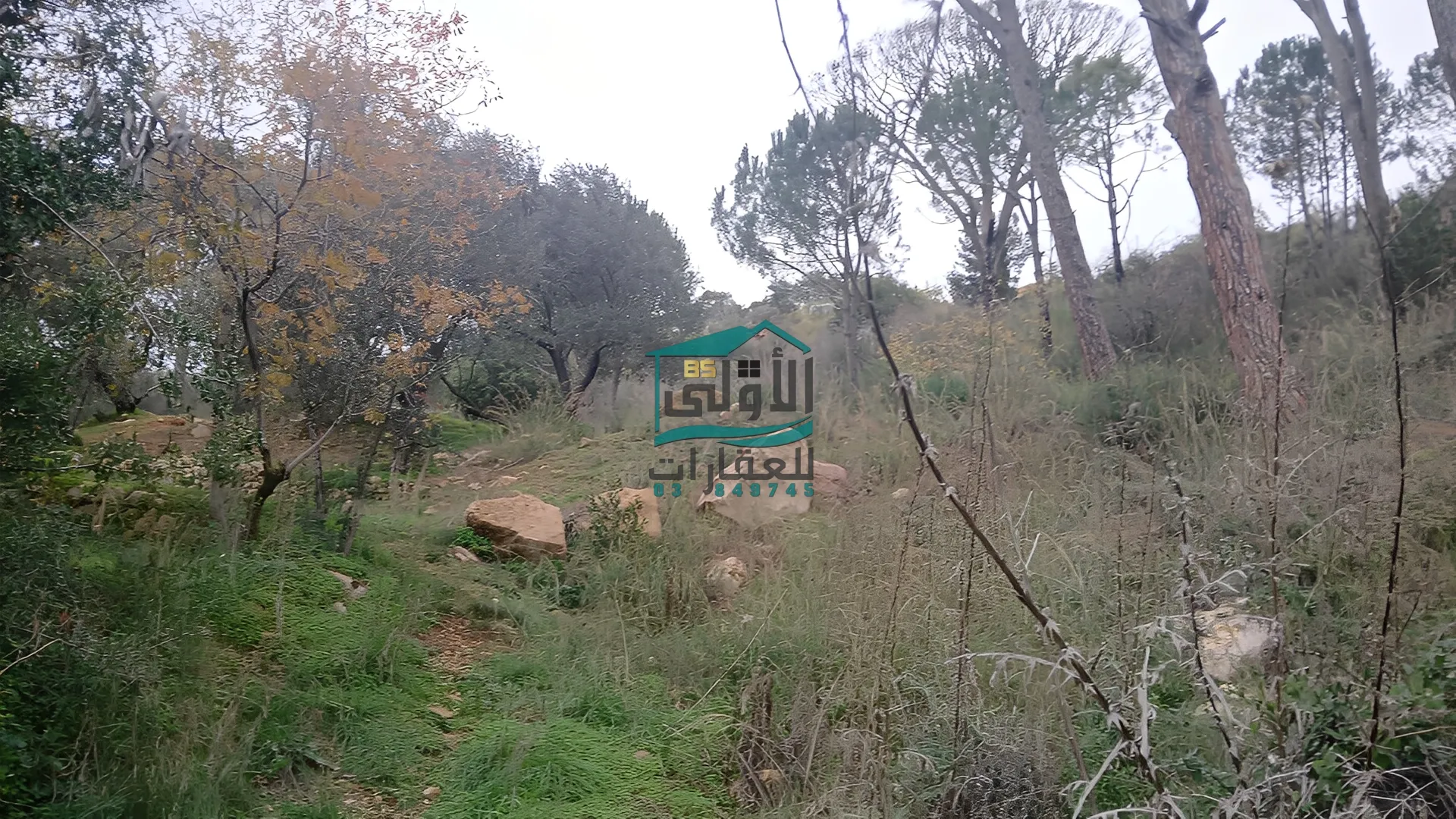 Land in Daqqoun, lebanon