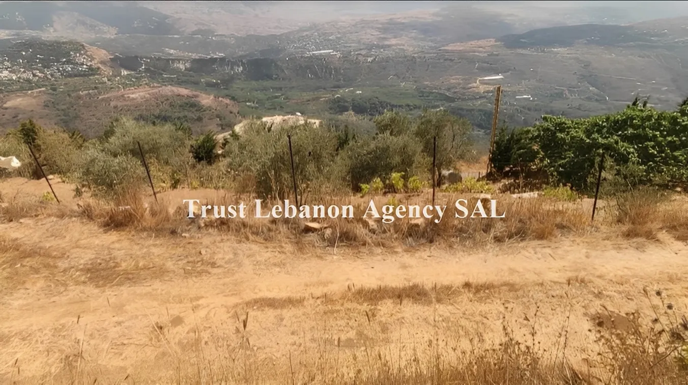 Land for Sale in Alay, Sawfar