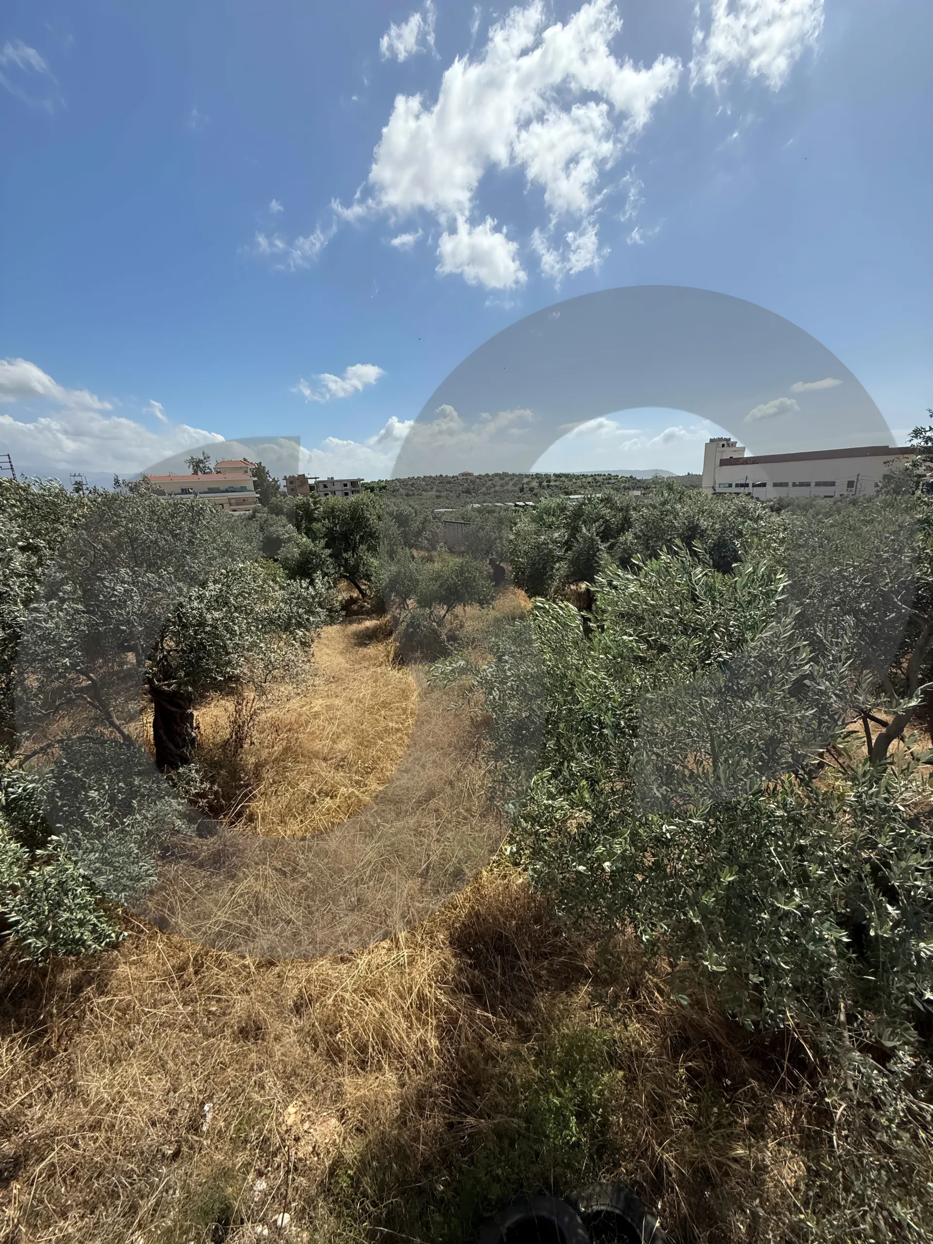Land for Sale in Zgharta