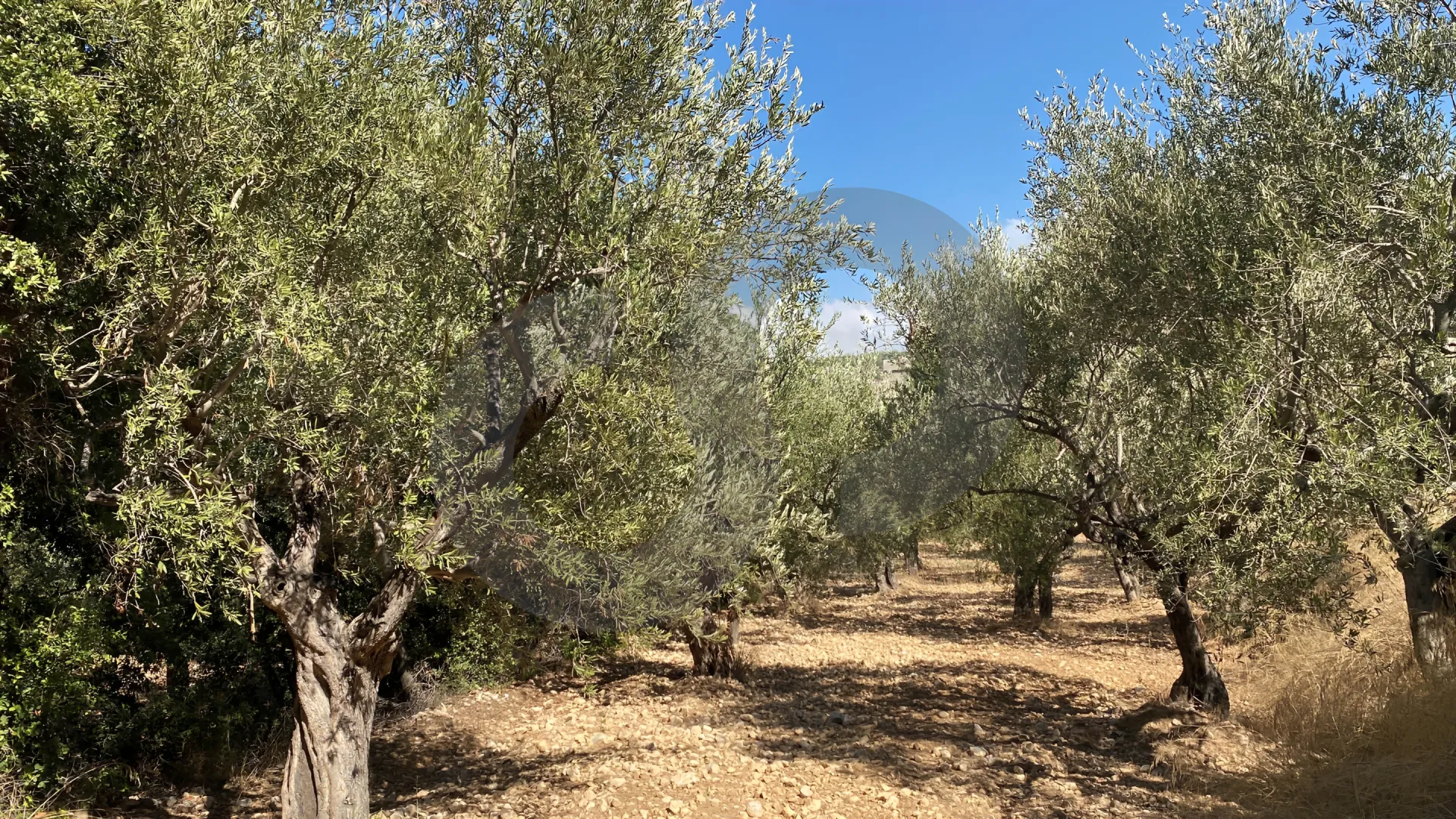 Land for Sale in Other