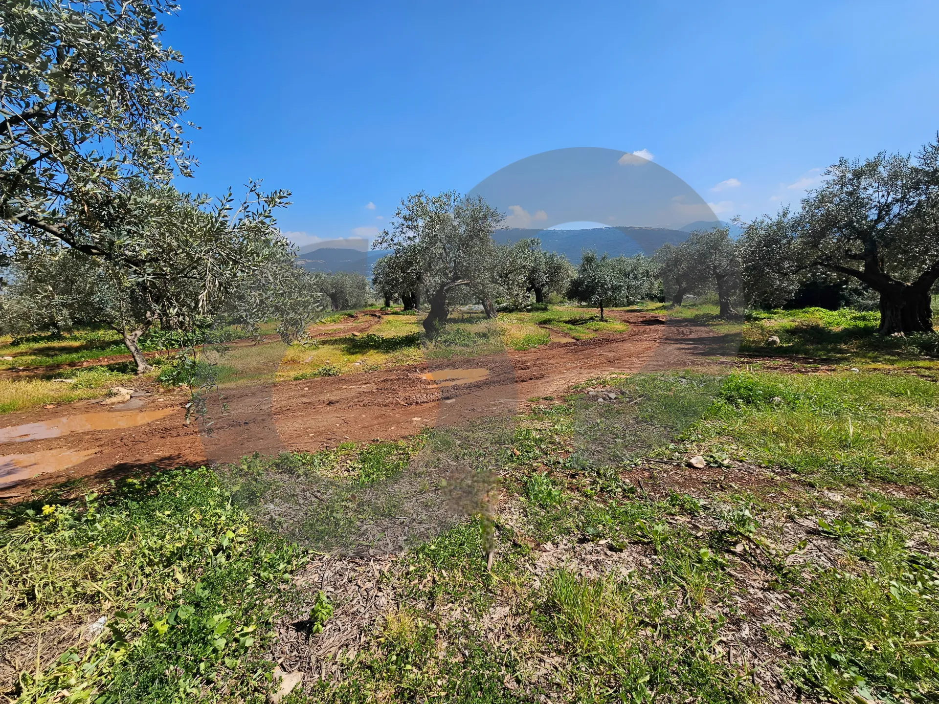 Land for Sale in Zgharta