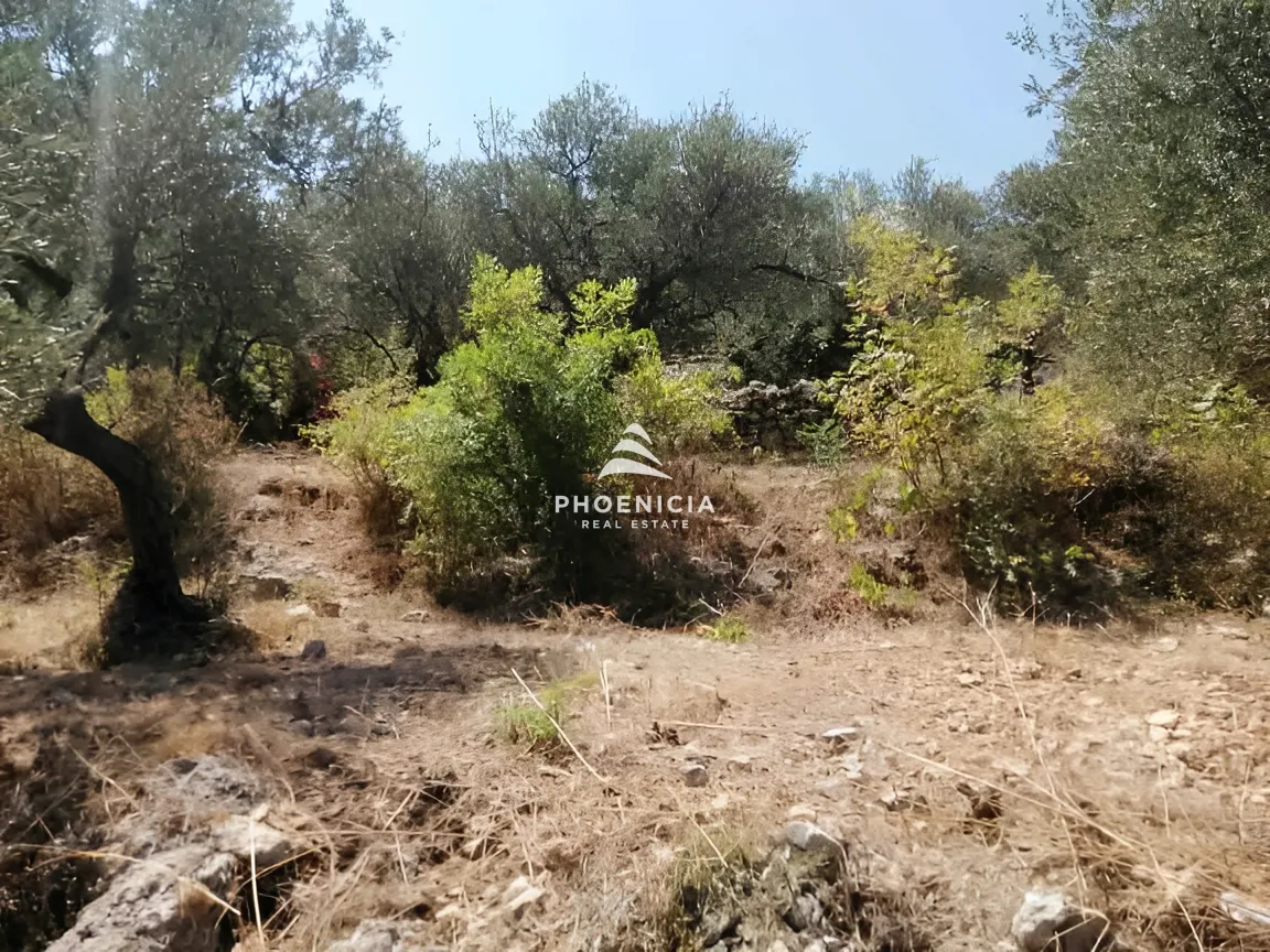 Land for Sale in Monsef
