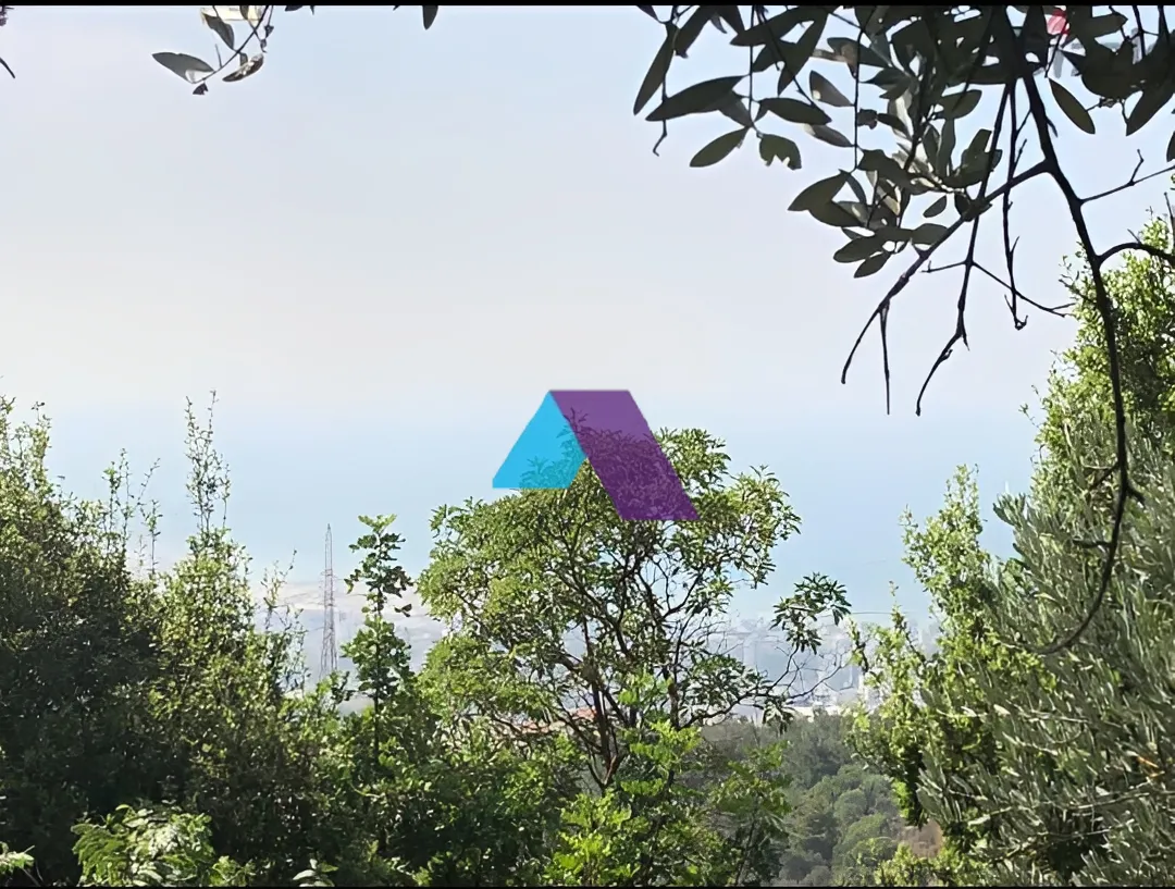 Land for Sale in Ain Saadeh