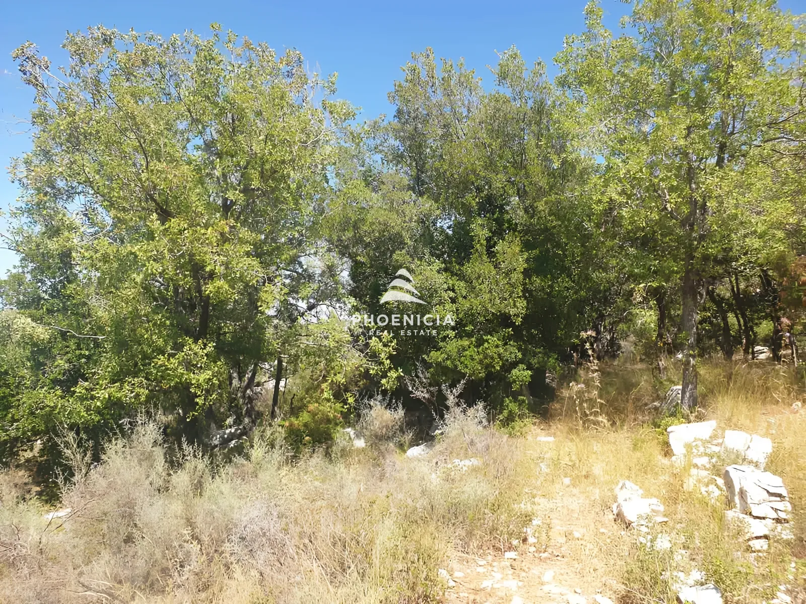 Land for Sale in Mechmech