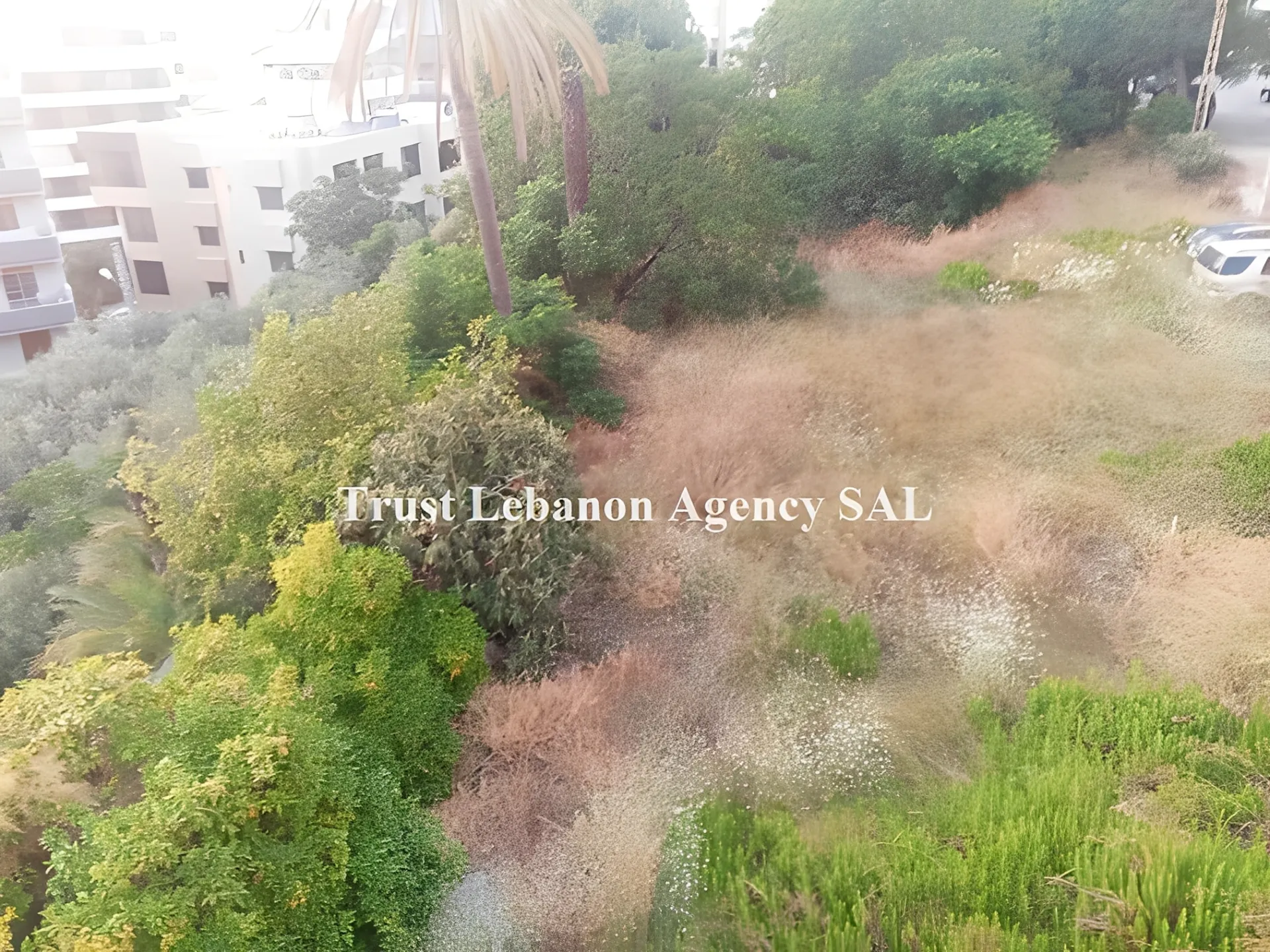 Land for Sale in Tyre