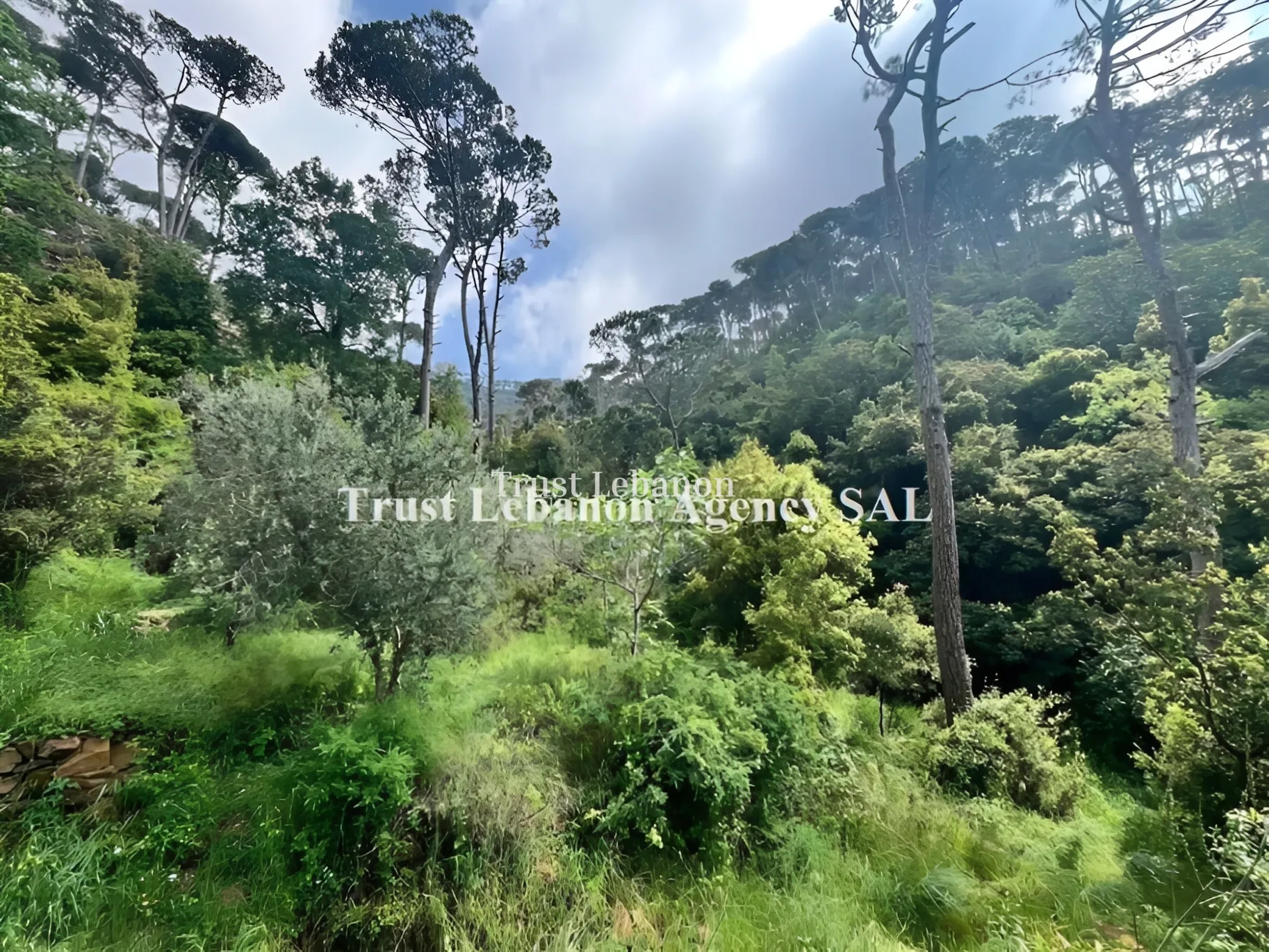 Residential Land for sale in Zaraoun, Lebanon
