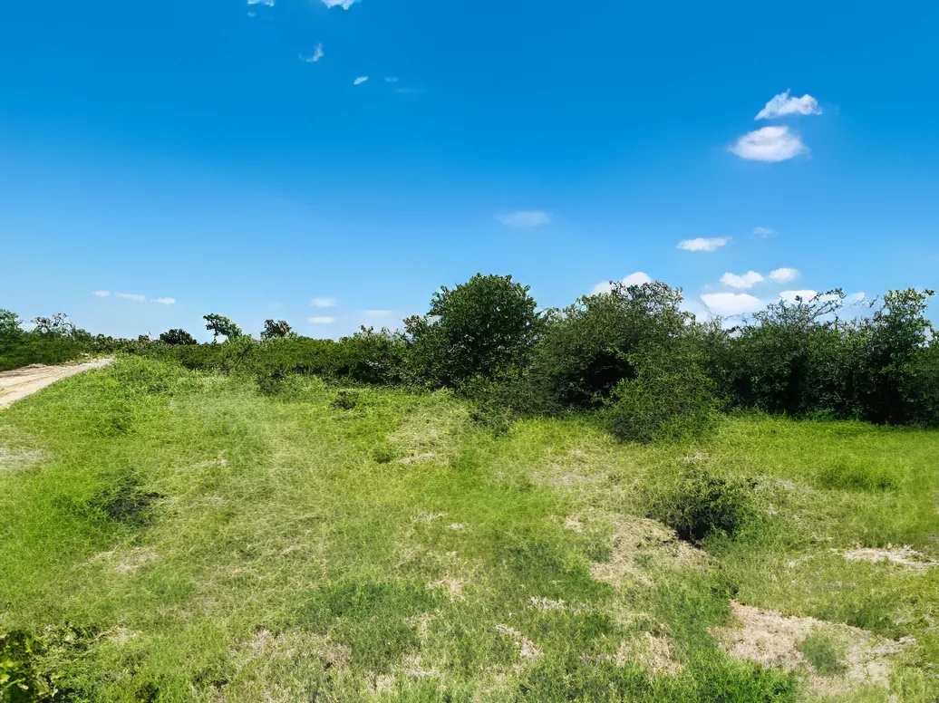 Land for Sale in Roumieh