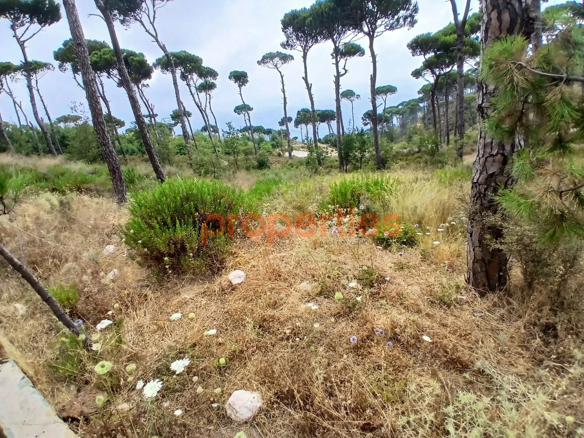 Residential Land for Sale in Dhour El Choueir