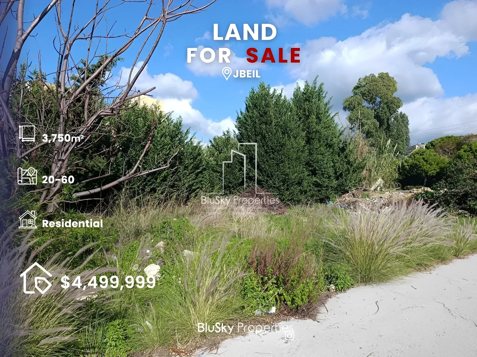 Land for Sale in Jbeil