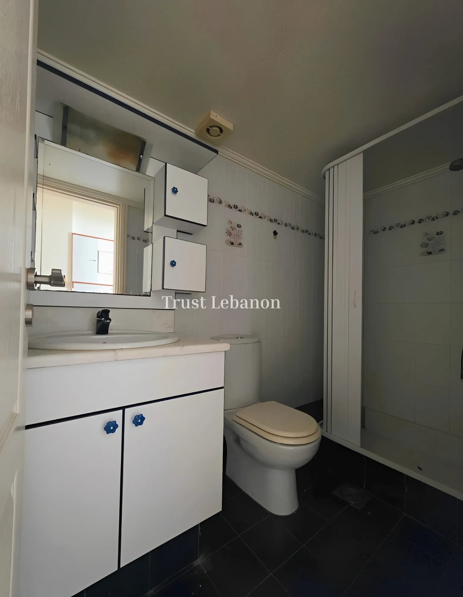 Apartment for sale in Sarba, Lebanon
