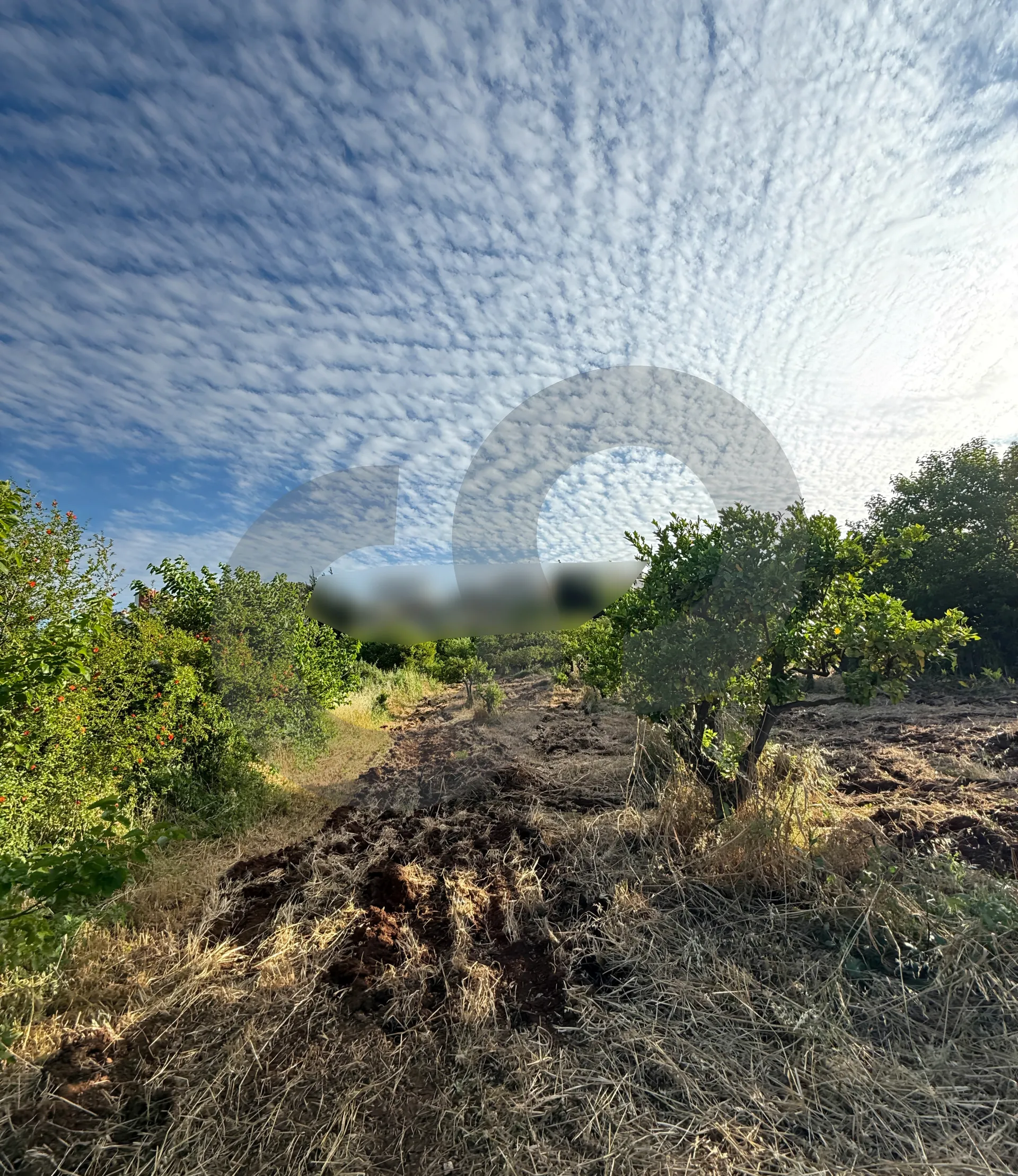 Land for Sale in Zgharta