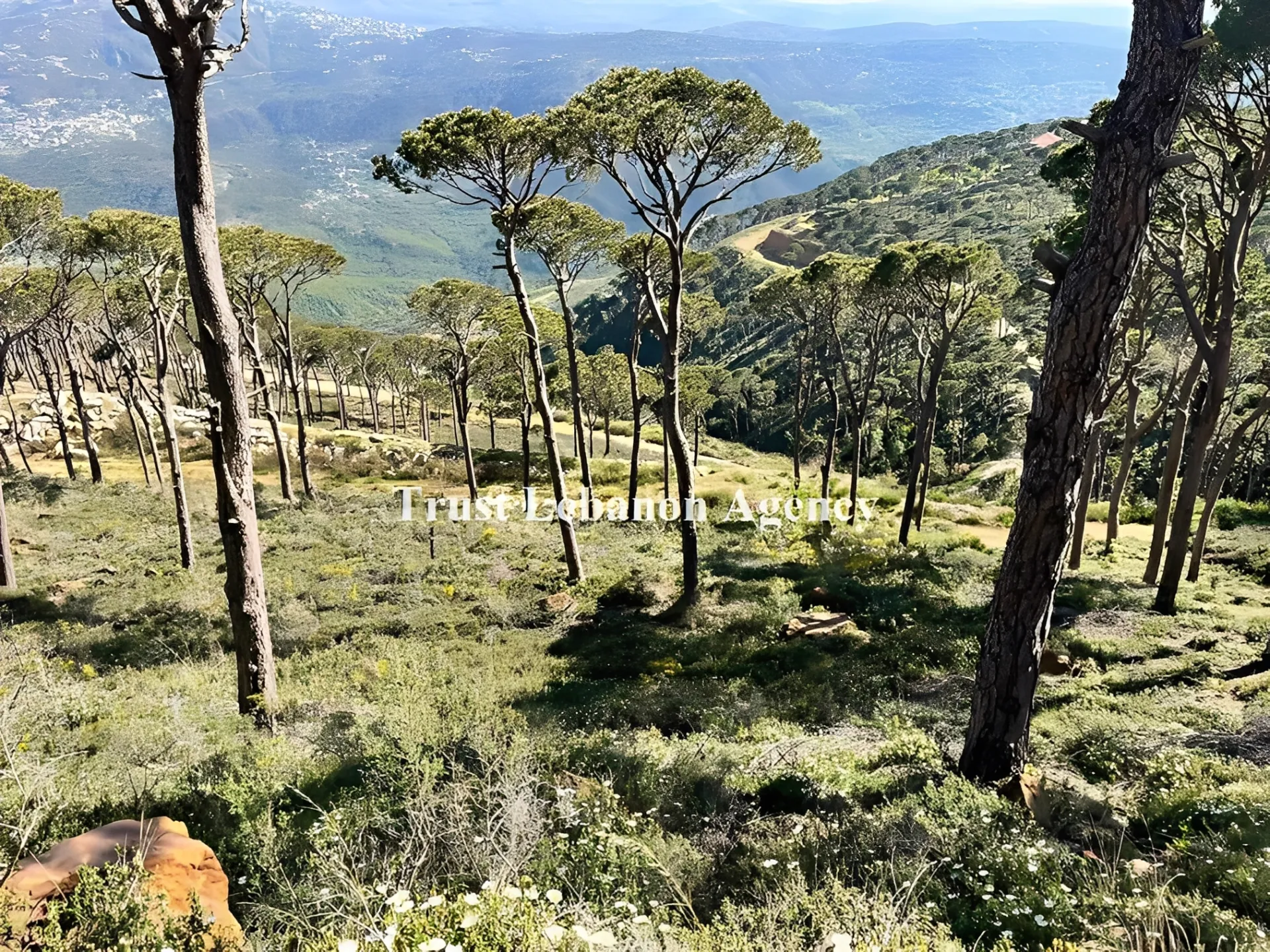 Land for Sale in Metn Al Kaakour Lebanon