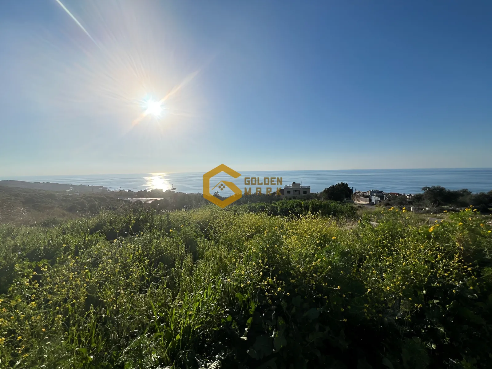 Land for Sale in Rachana