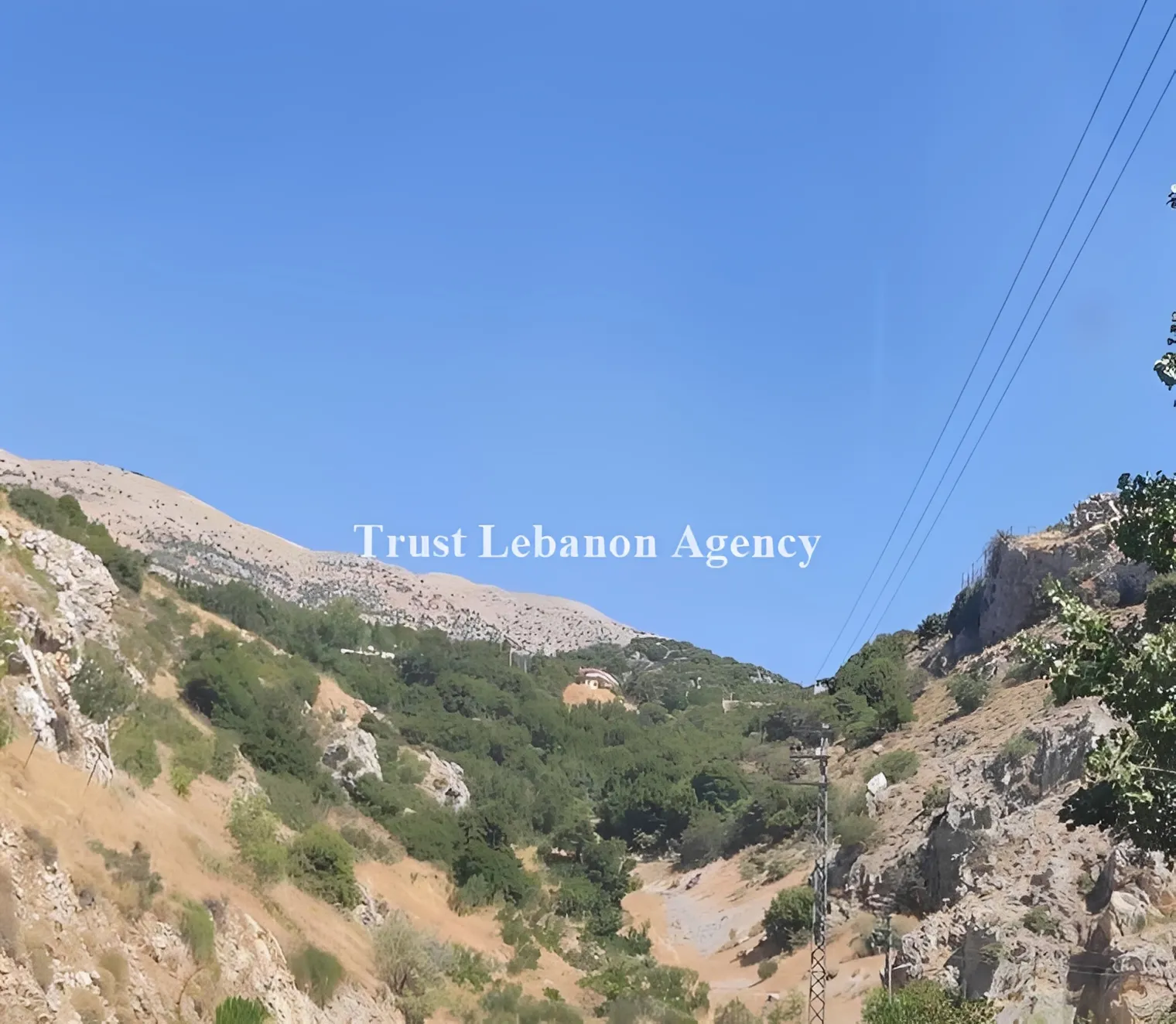 Land for Sale in Western Bekaa Ain Zebdeh