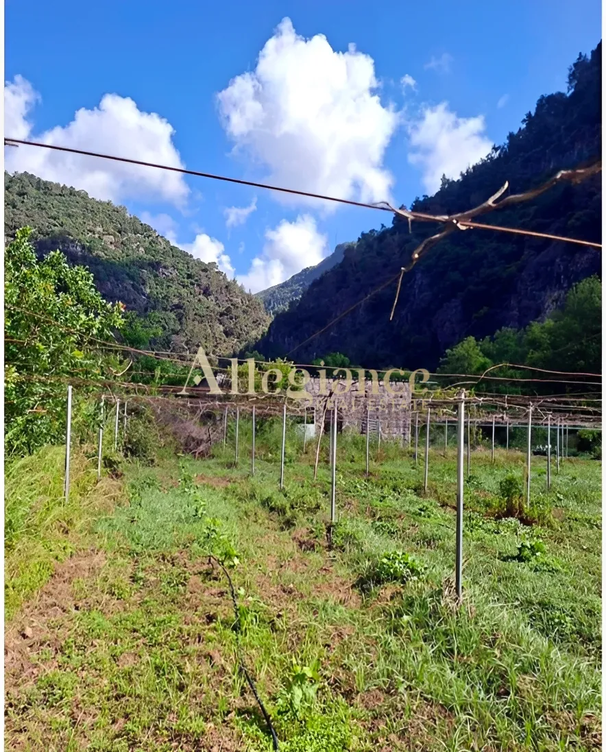 Residential Land for sale in Damour, Lebanon