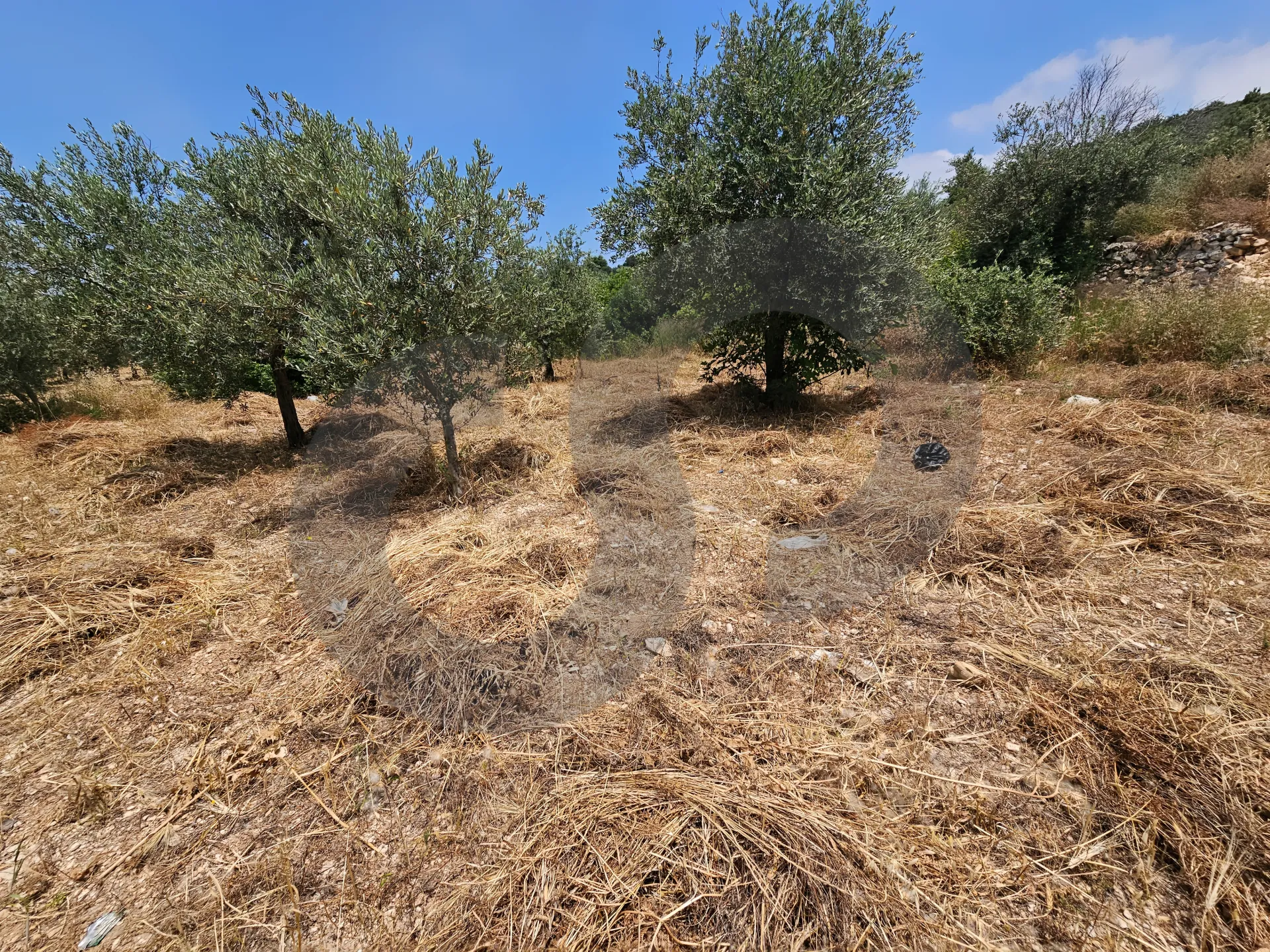 Land for Sale in Koura
