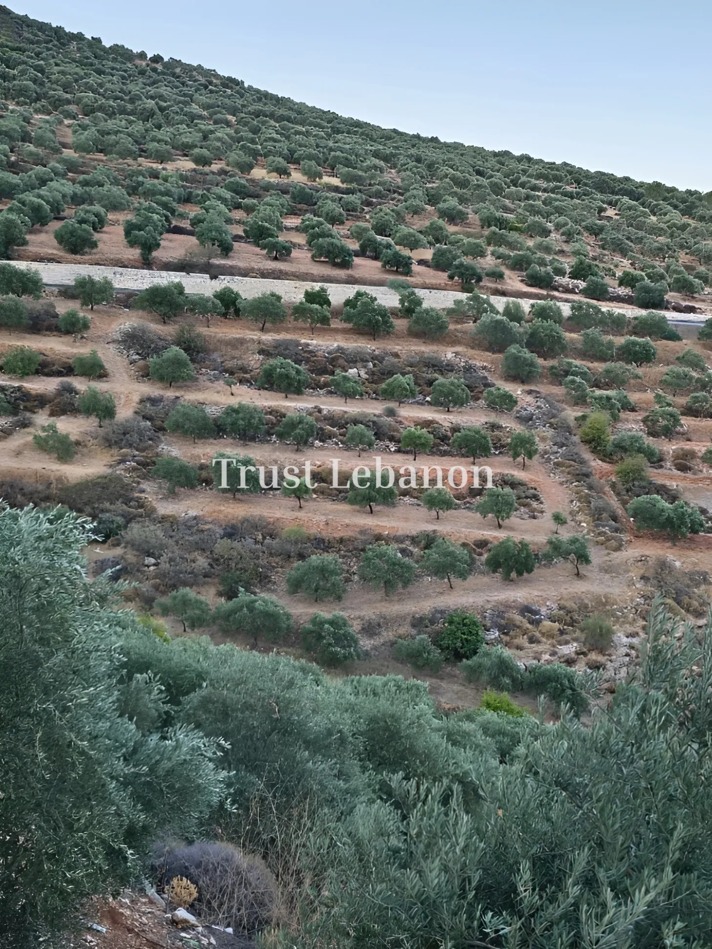 Residential Land for sale in Hasbaya