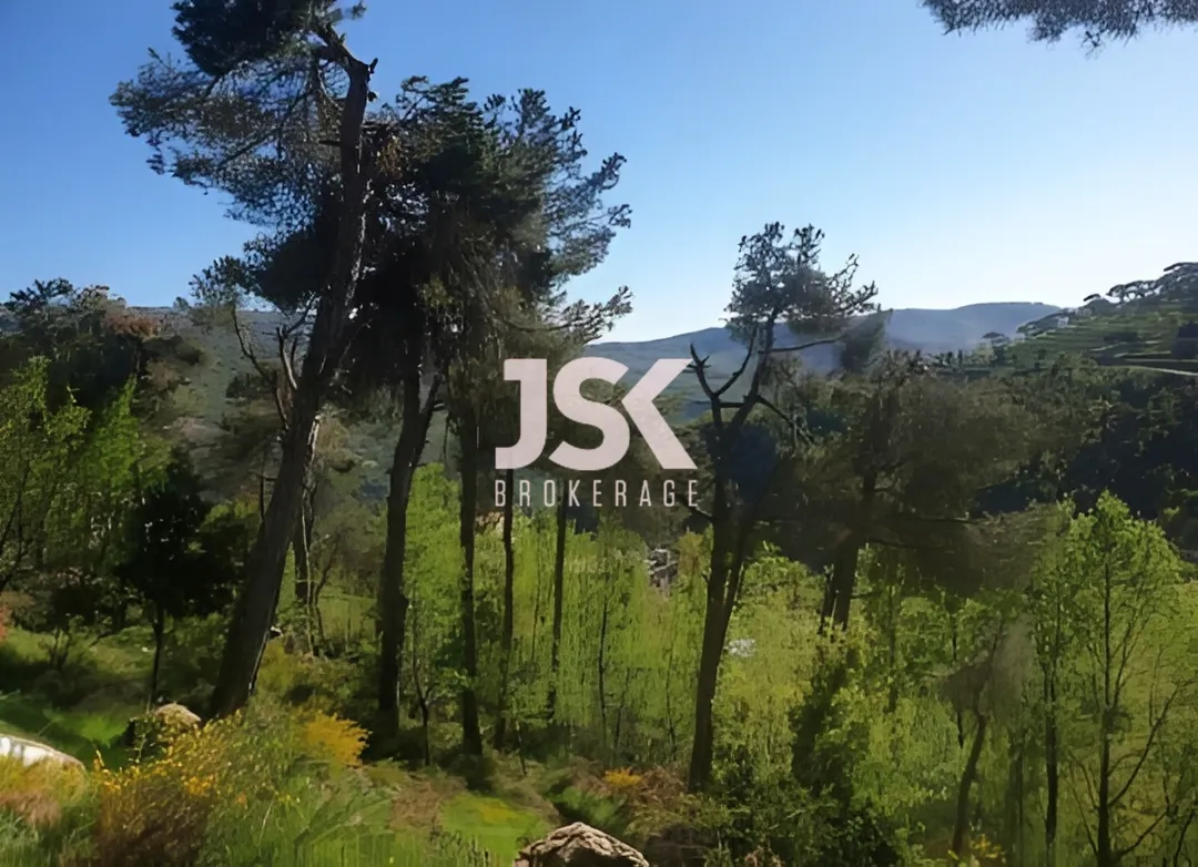 Land for Sale in Baskinta, Lebanon