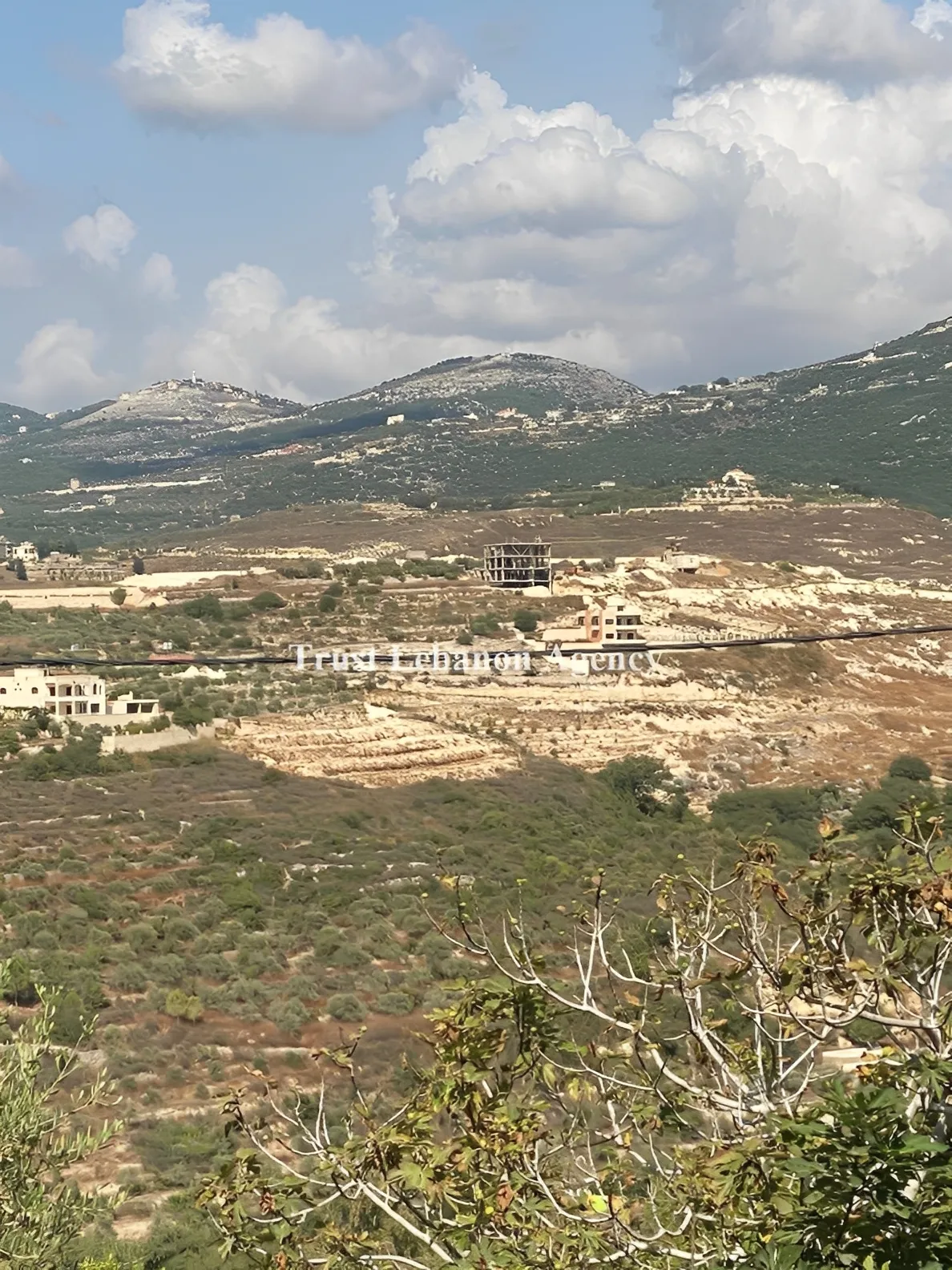 Land for Sale in Nabatiye