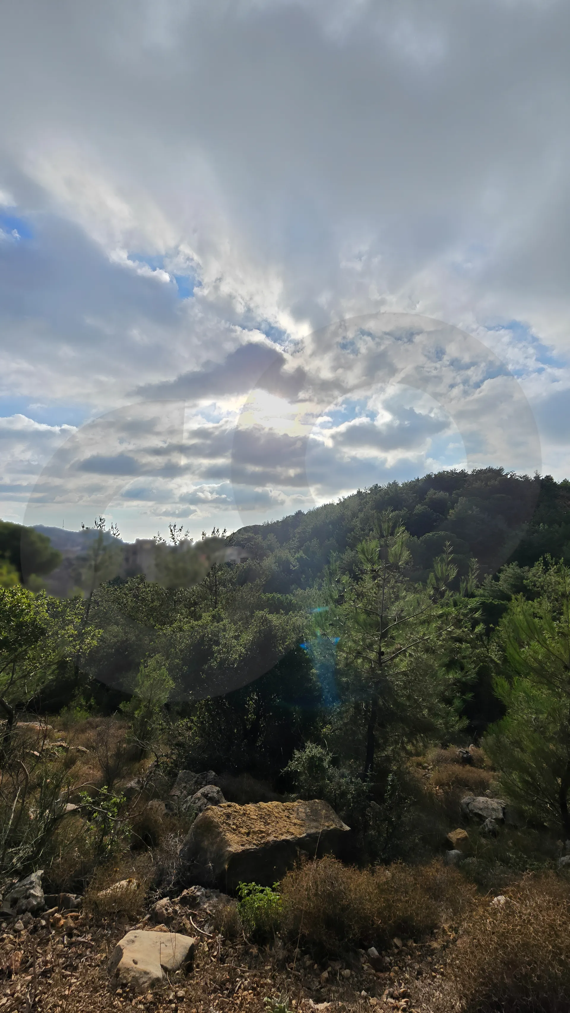 Land for Sale in Souq El Gharb