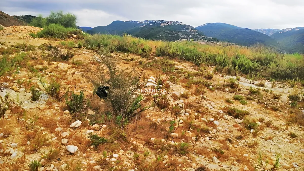 Land for Sale in Edde