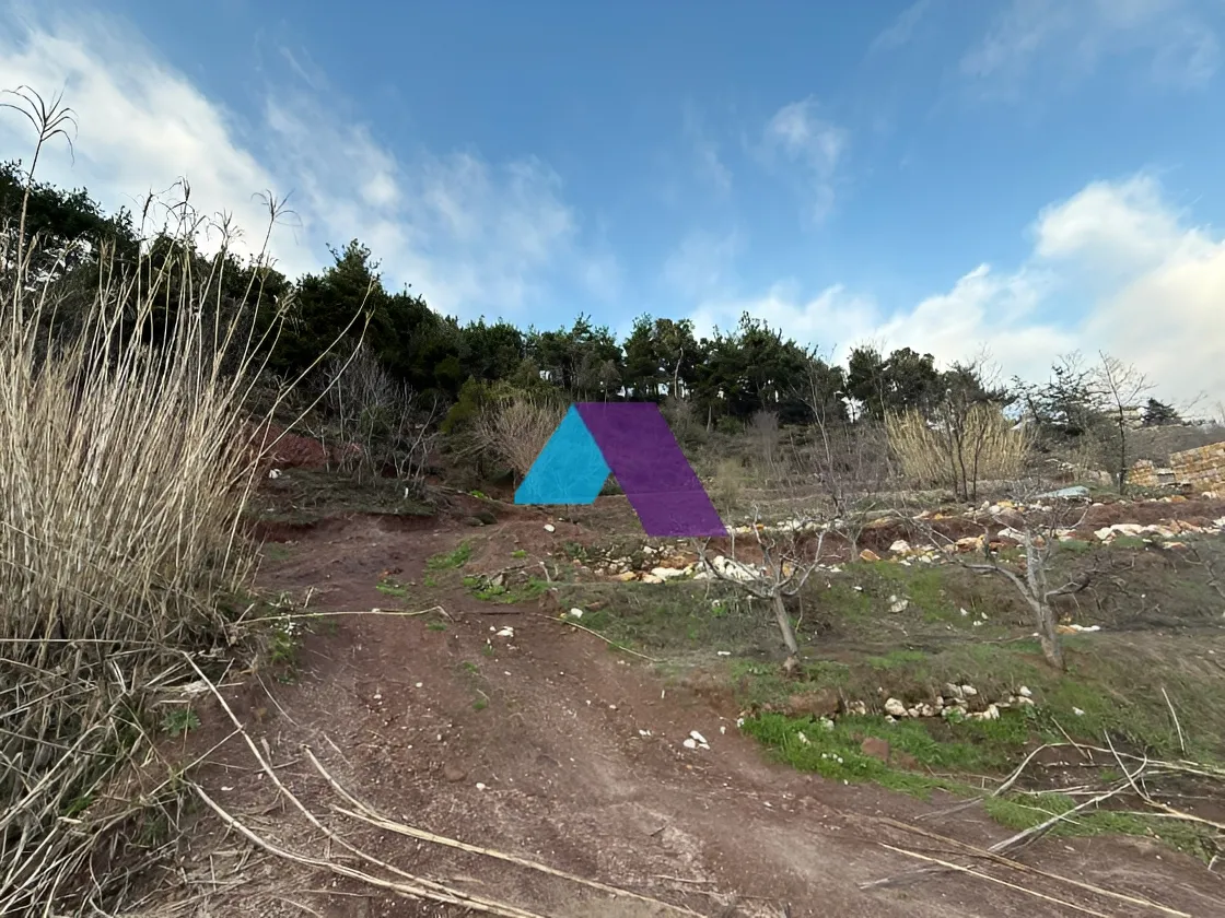 Land for Sale in Mayrouba