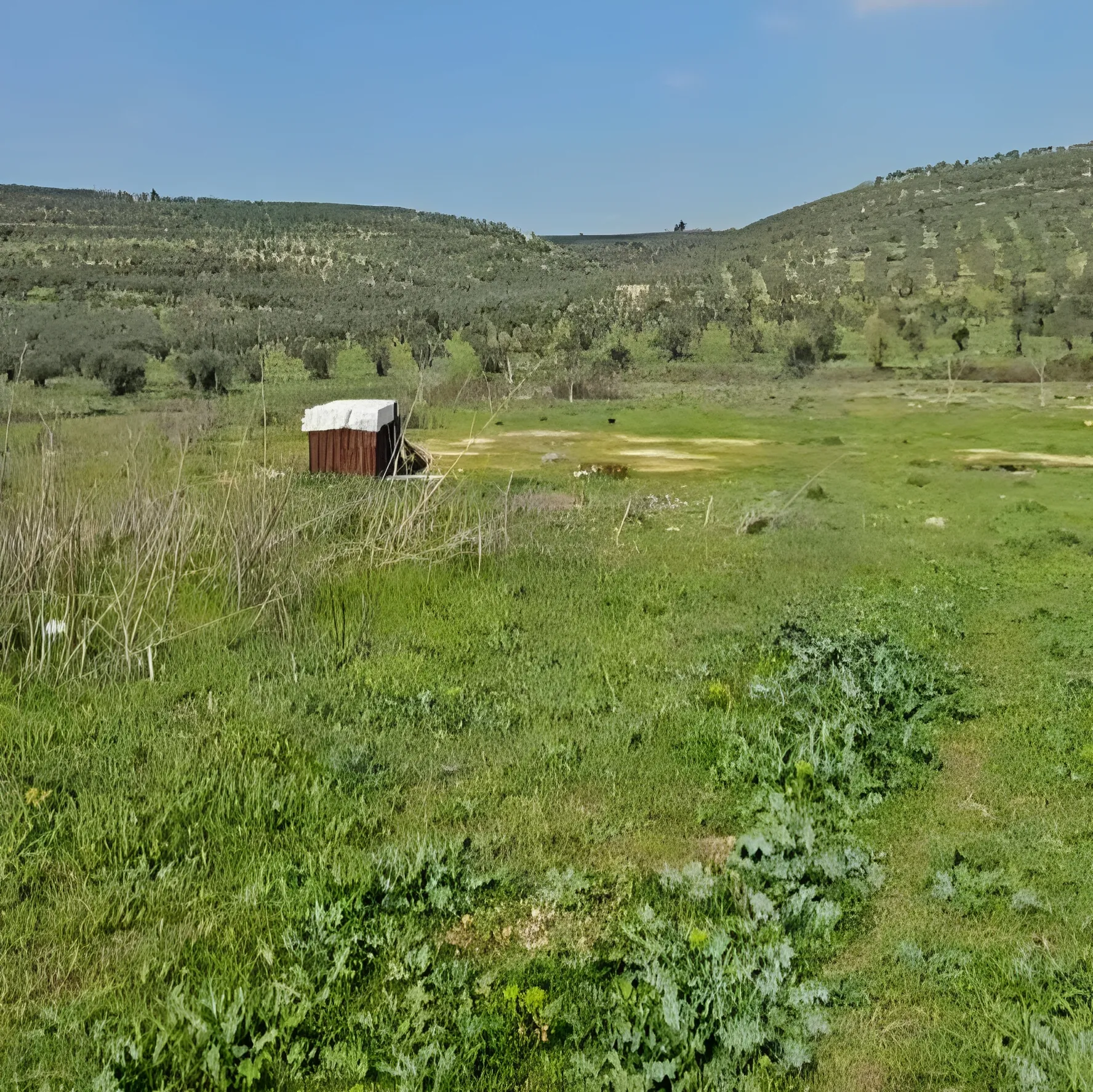 Land for Sale in Koura