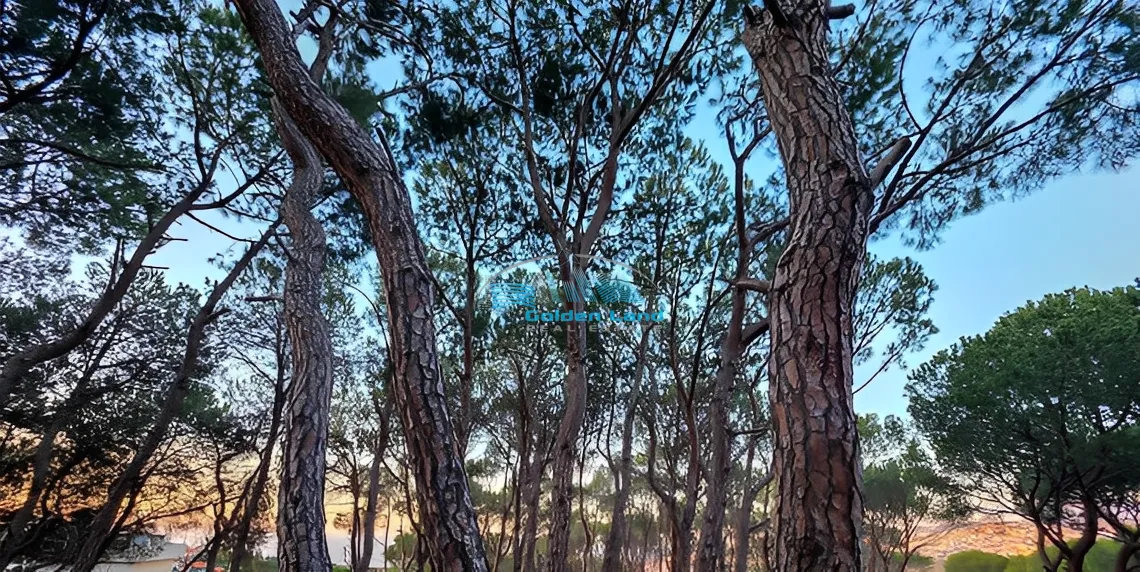 Land for Sale in Beit Chabeb, Lebanon