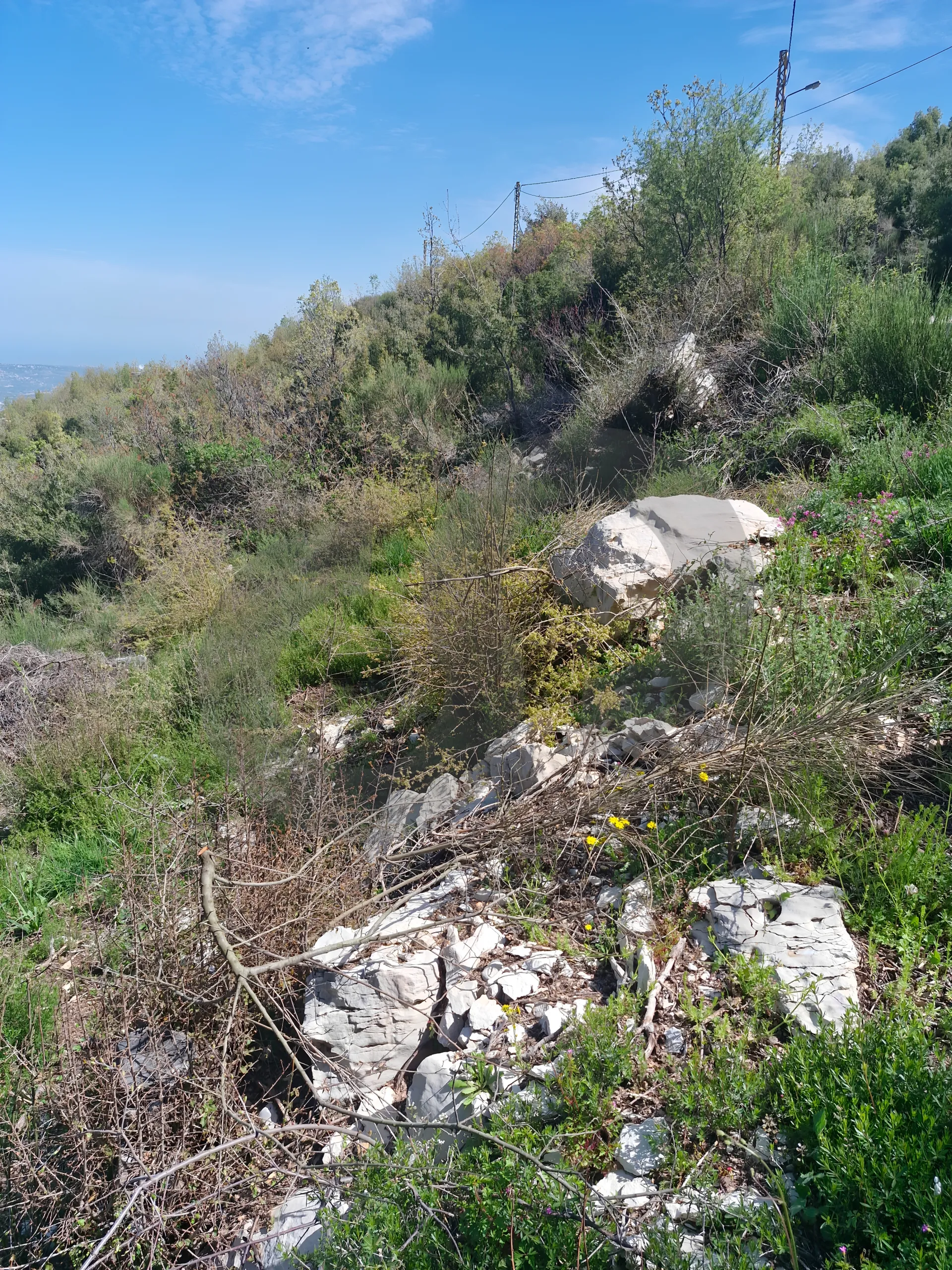 Land for Sale in Batroun
