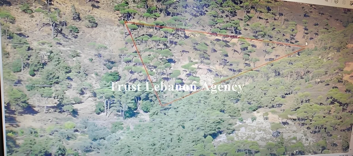 Land for Sale in Jezzine, Bteddine Al Loqc