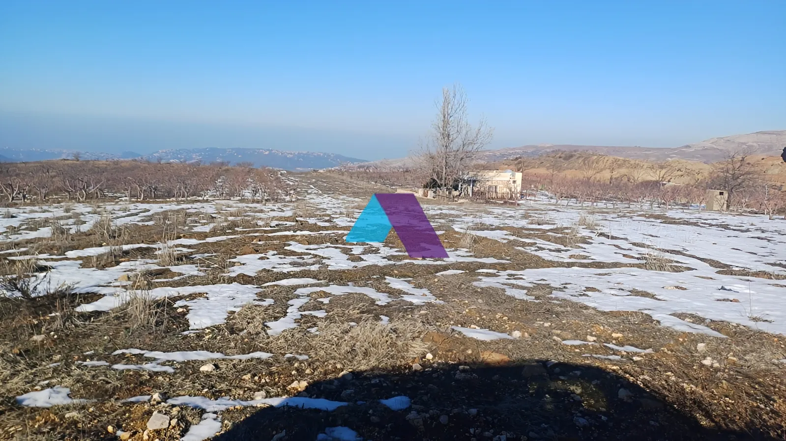 Land for Sale in Tarchich