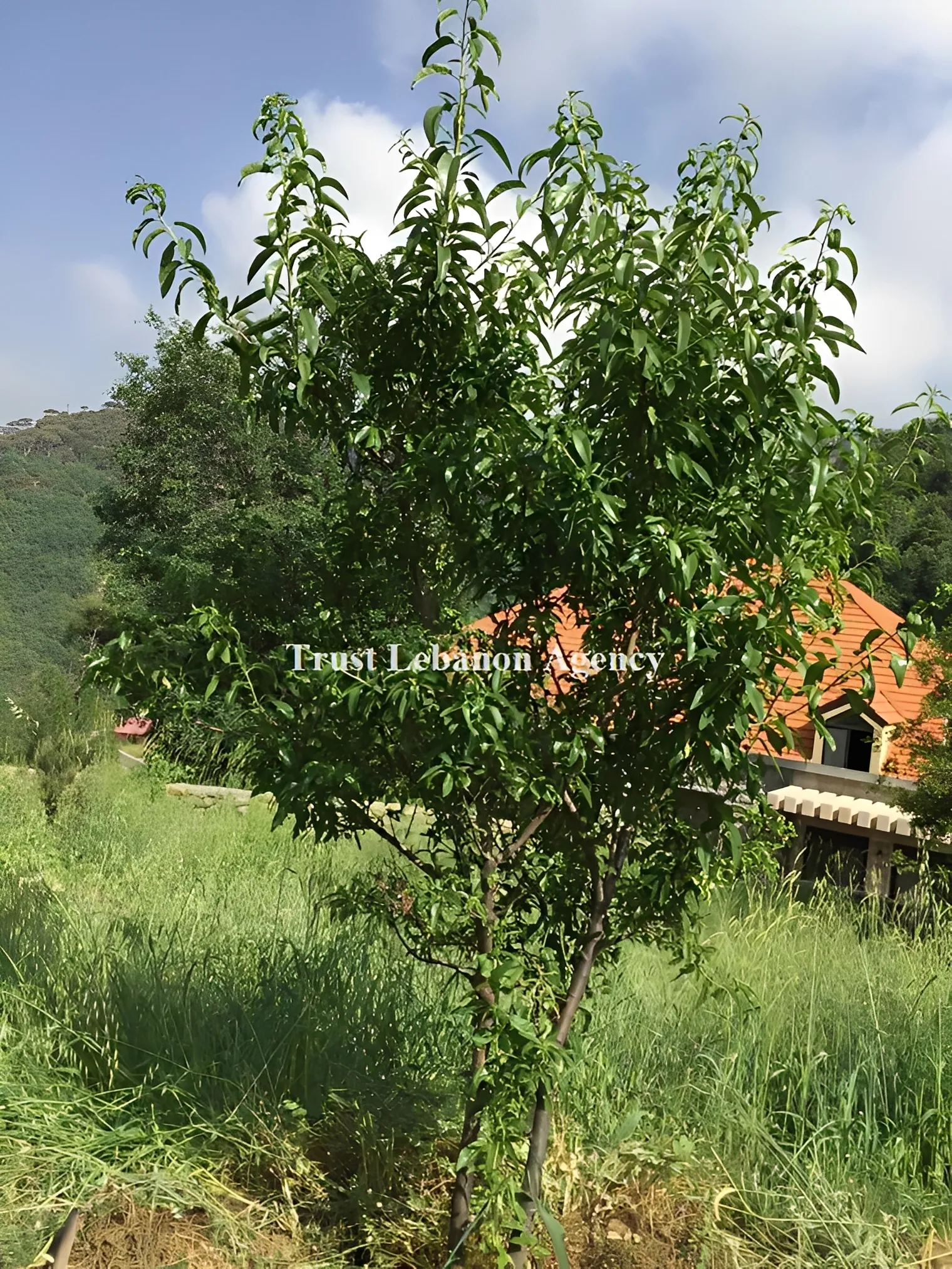 Land for Sale in Metn Dhour Al Chweir Lebanon