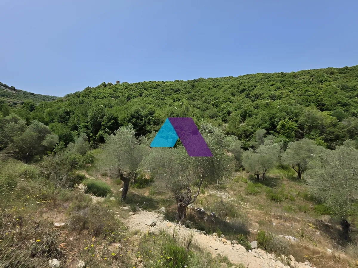 Land for Sale in Batroun