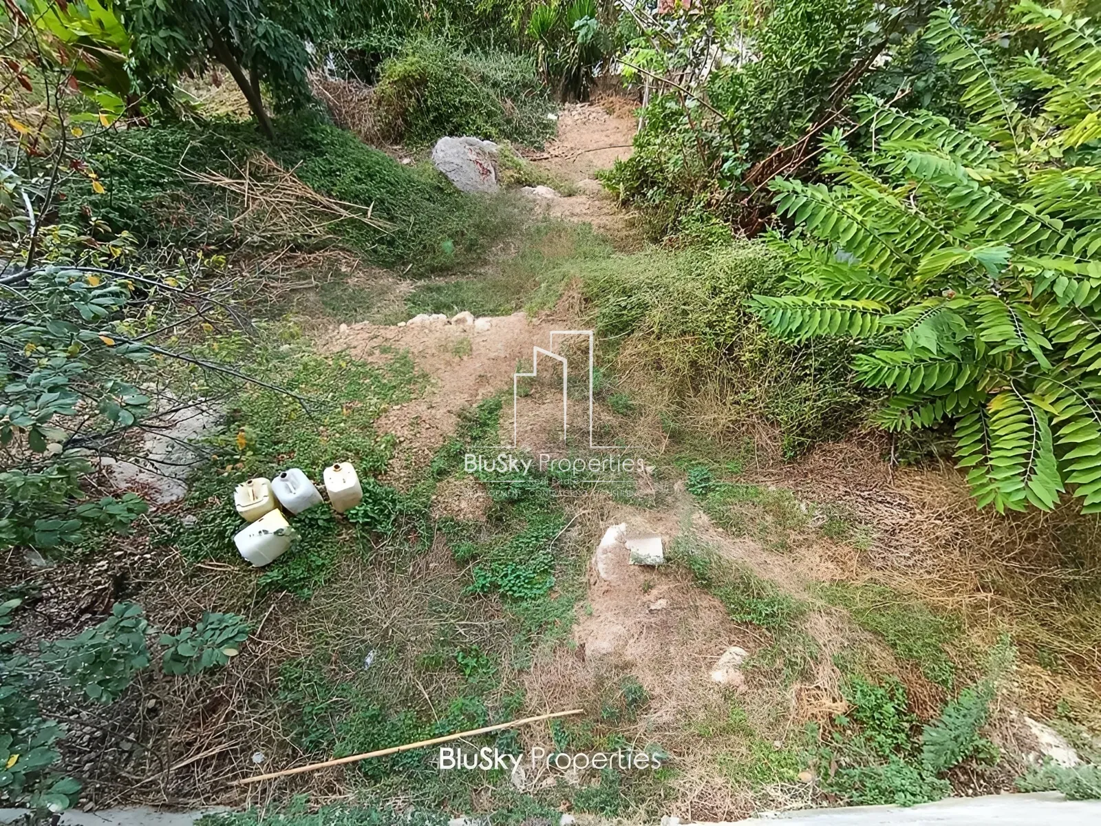 Land for Sale in Okaibe
