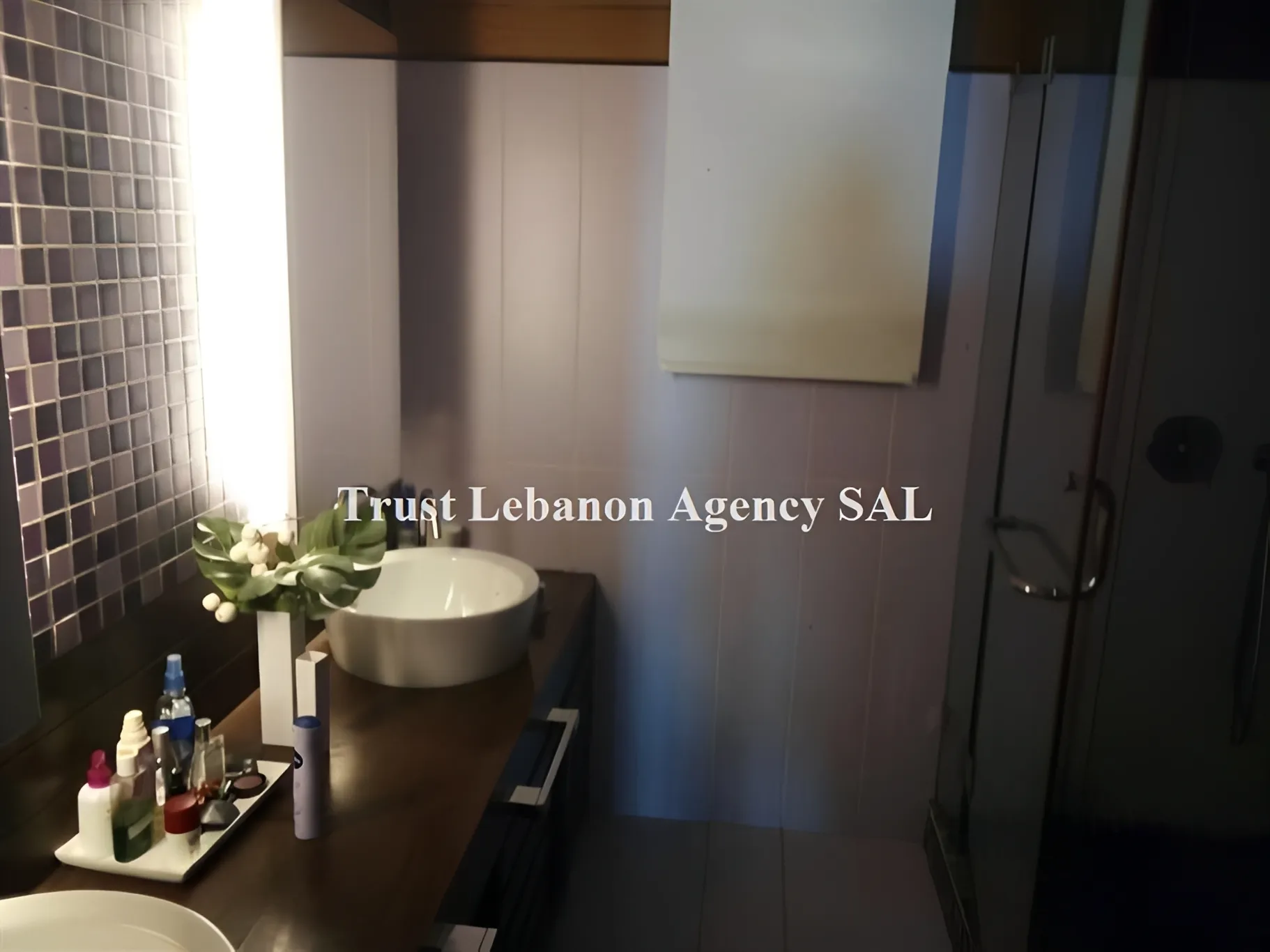 Apartment for Rent in Manara Beirut Lebanon