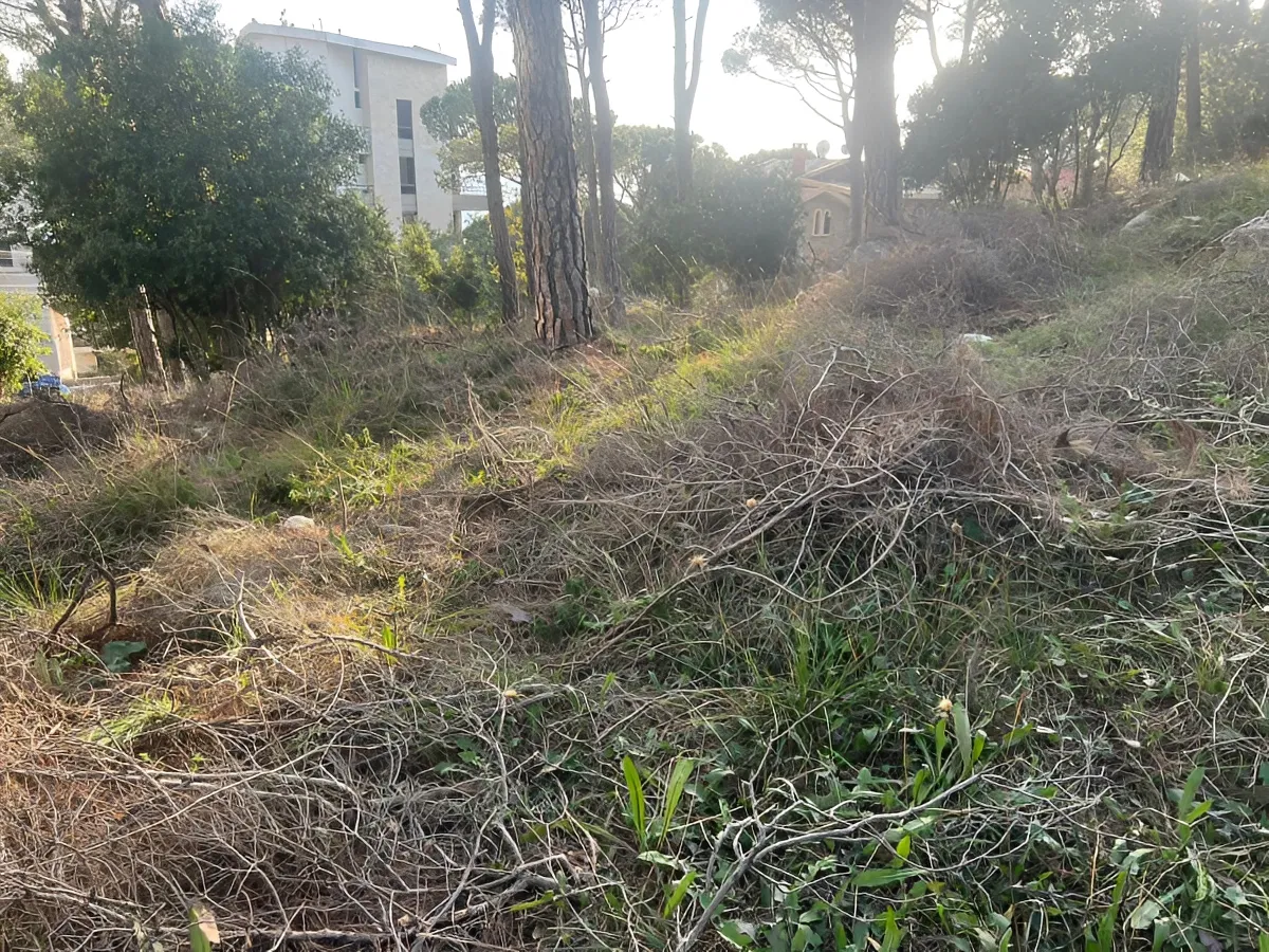Land for Sale in Broummana