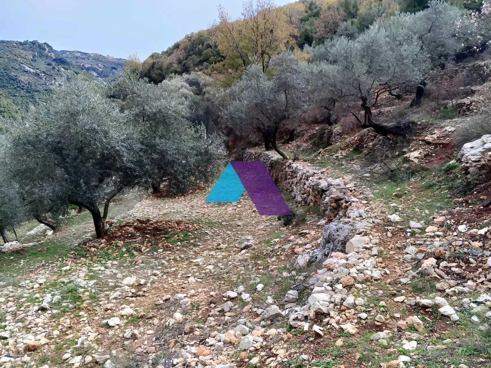 Land for Sale in Assia