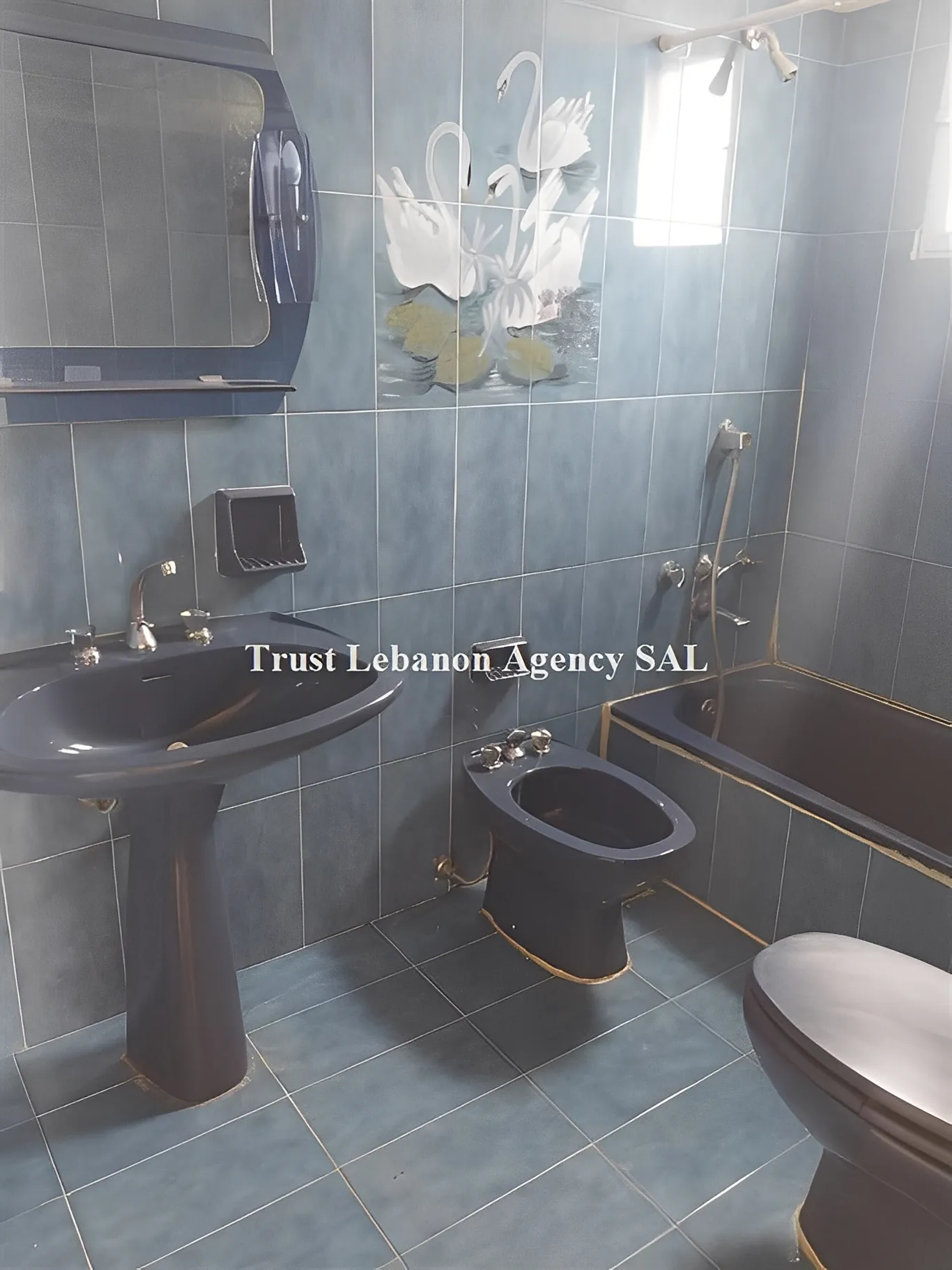 Apartment for Sale in Keserwan Adonis Lebanon