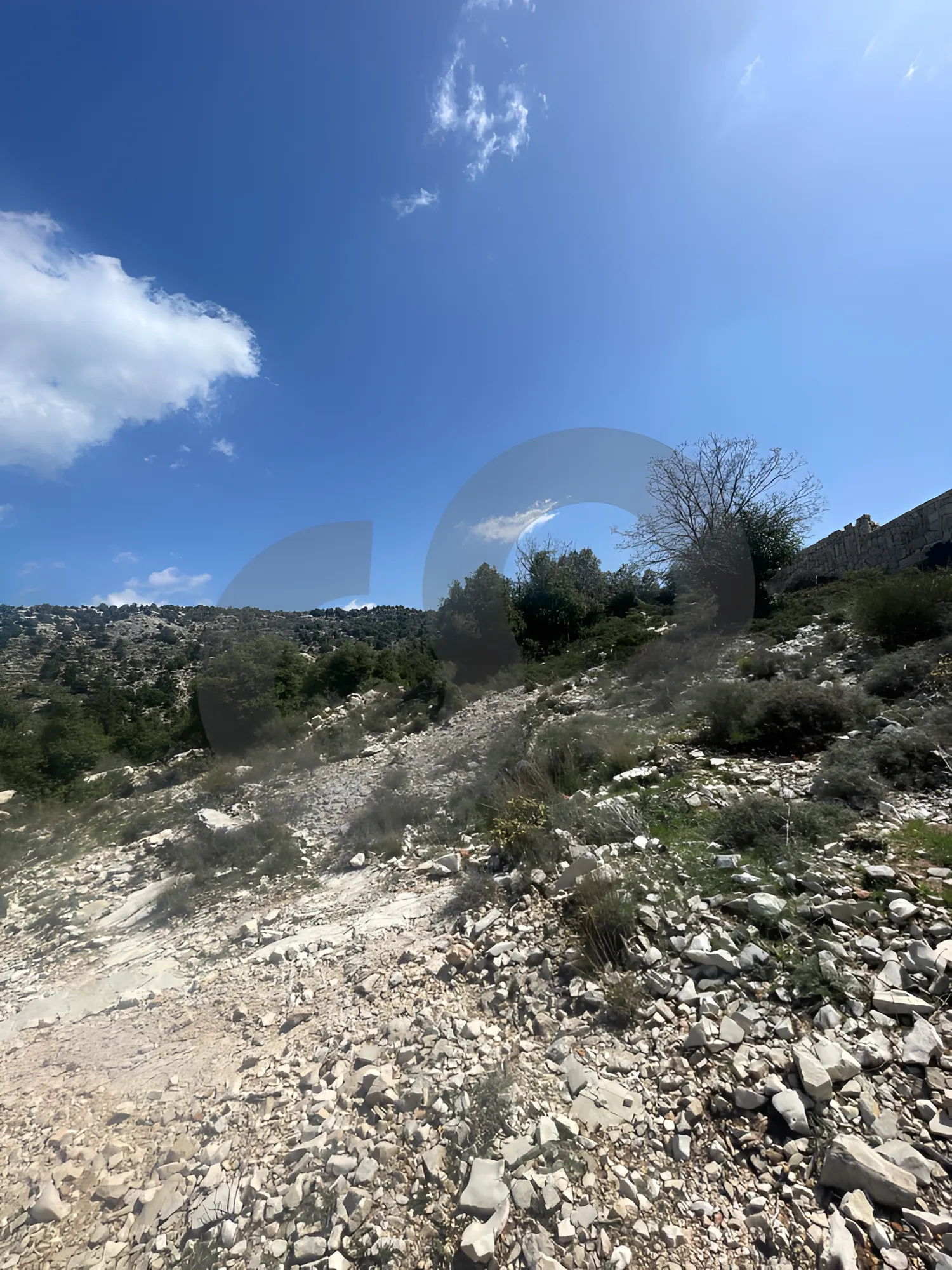 Land for Sale in Mechmech