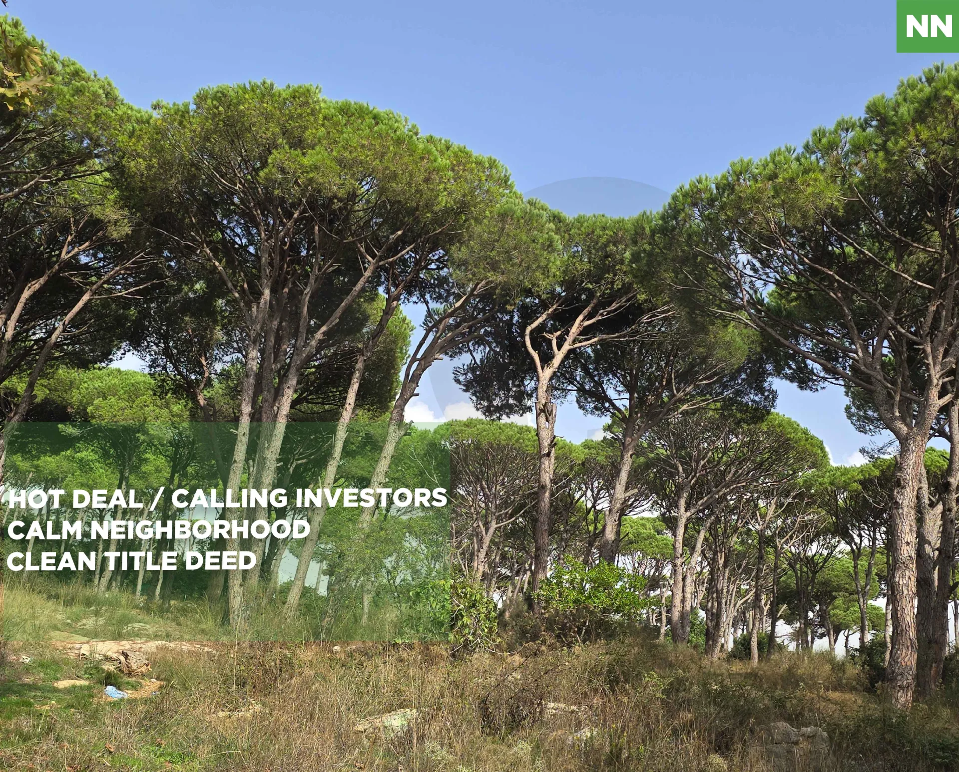 Land for Sale in Aley
