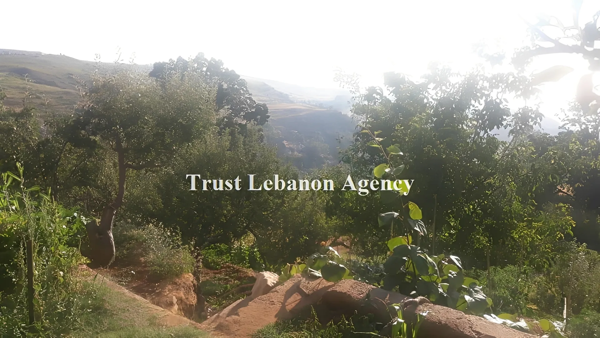 Land for Sale in Metn Mtein Lebanon