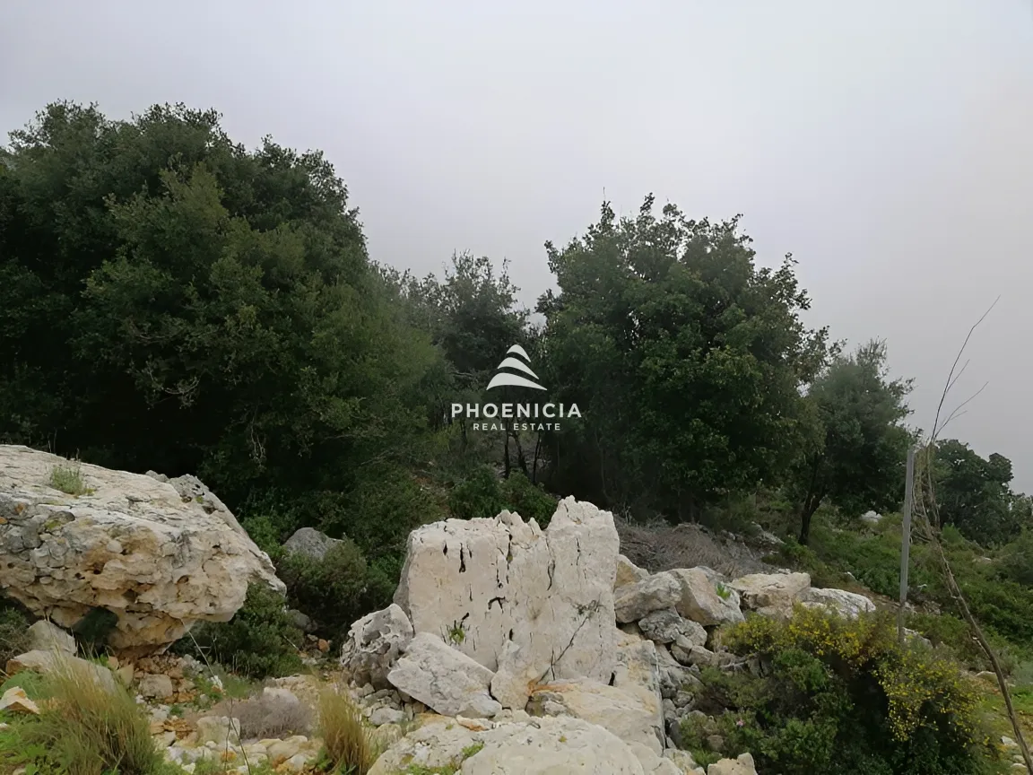 Land for Sale in Blat