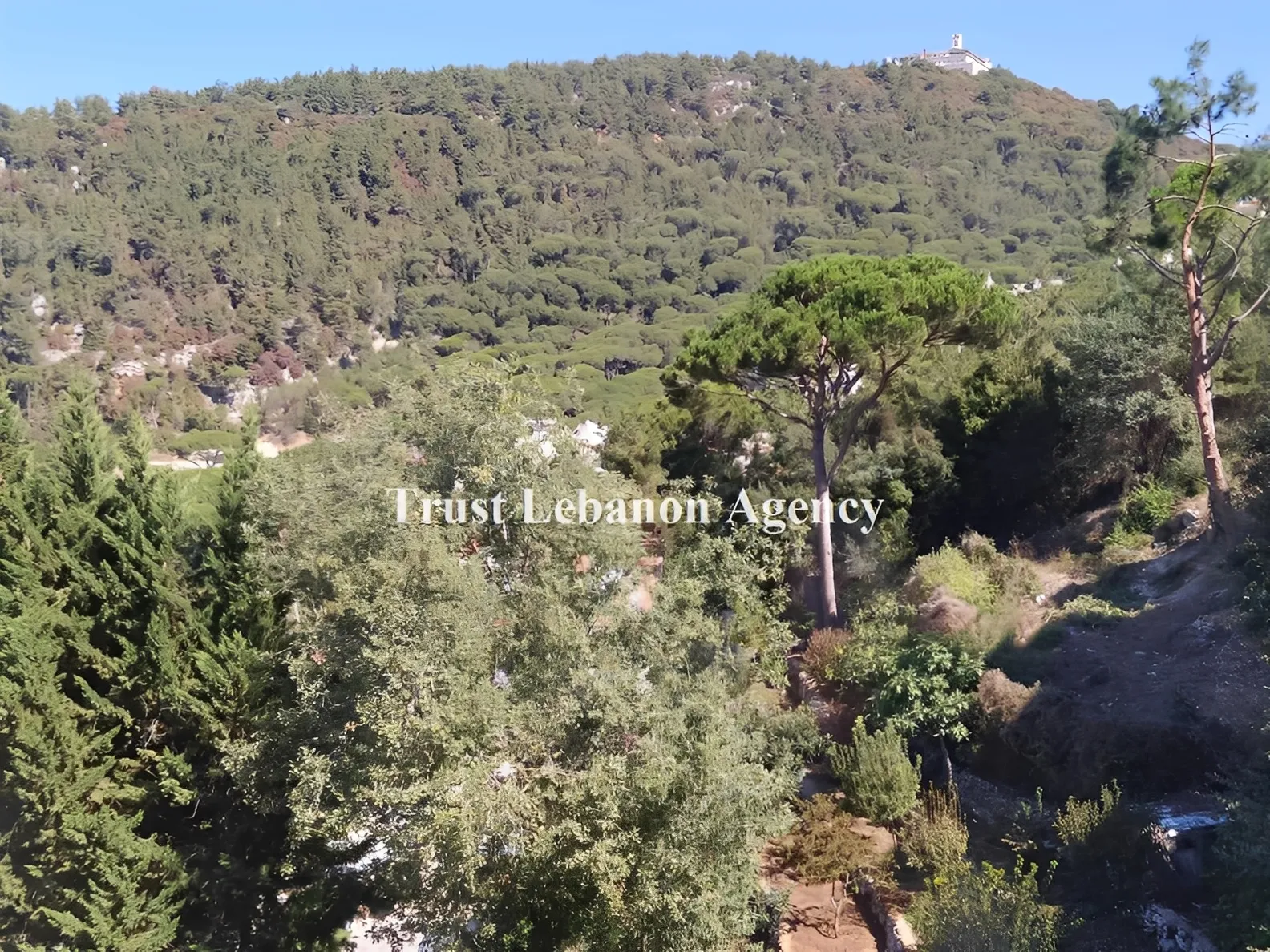 Duplex for Sale in Metn Jouret El Ballout Lebanon