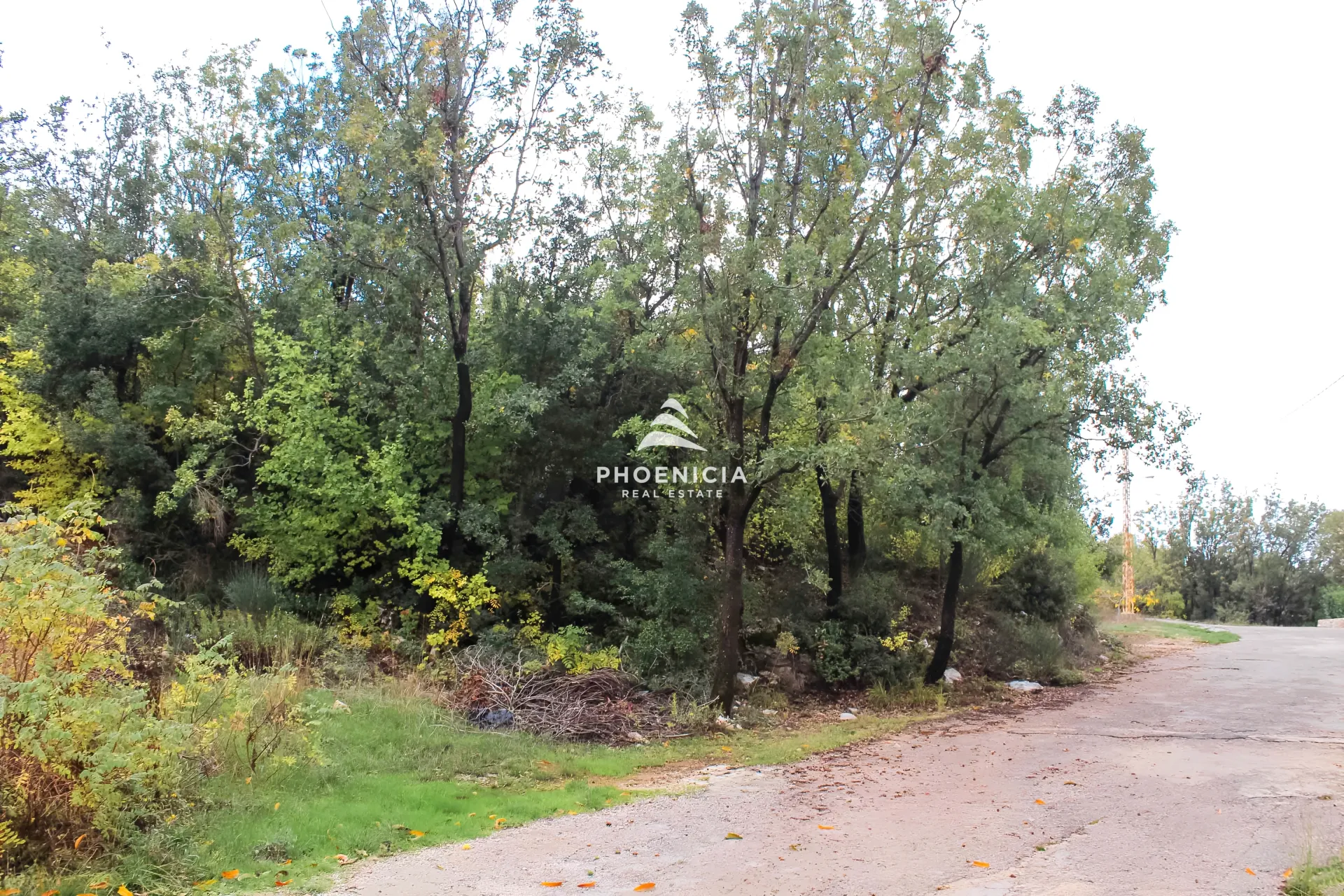 Land for Sale in Kfar Baal