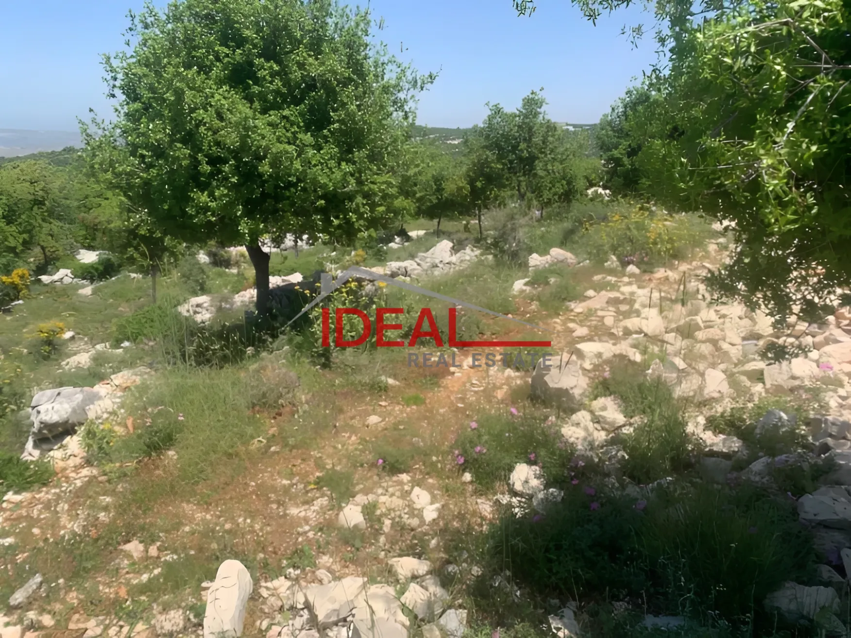Land for Sale in Assia, Lebanon