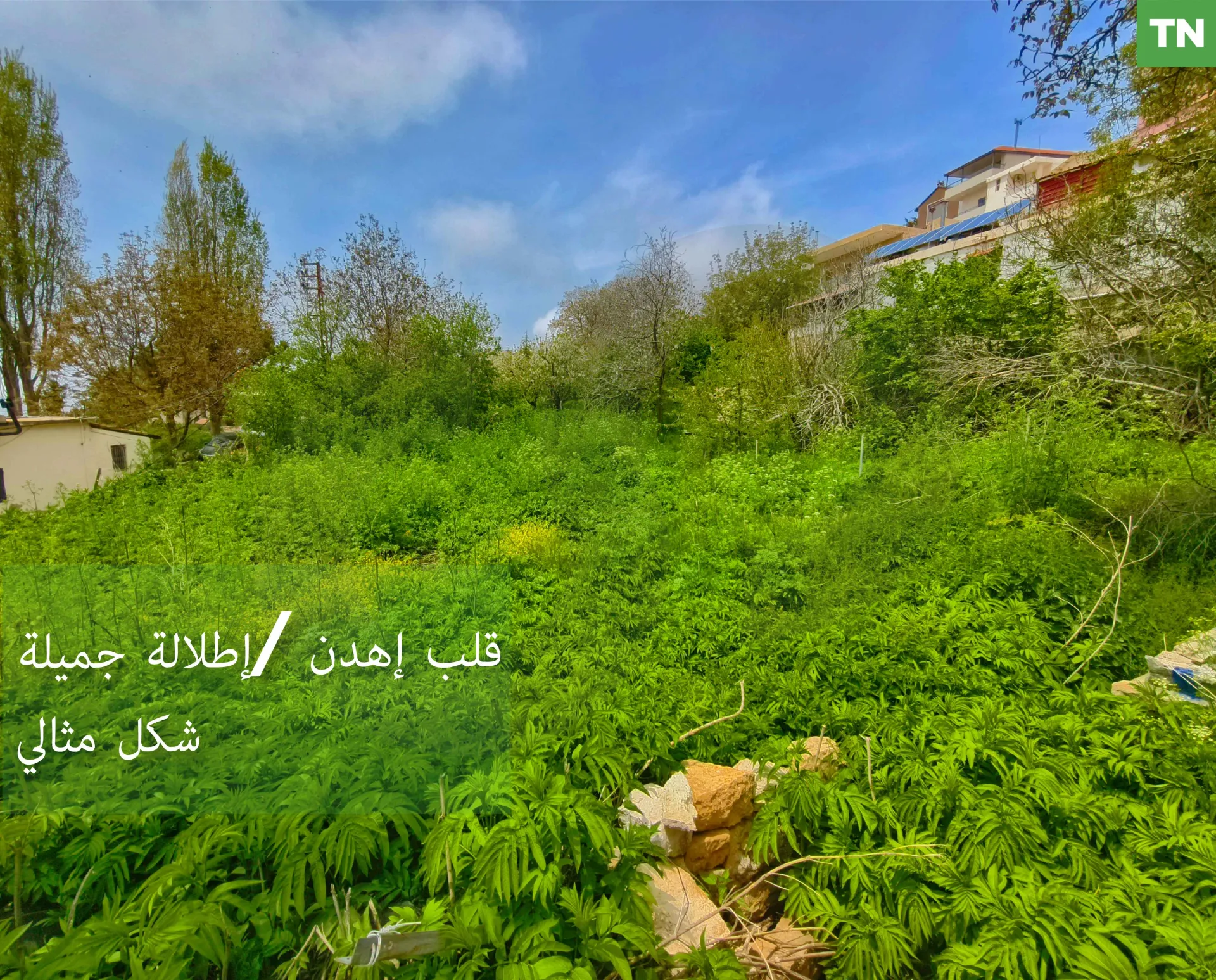 Land for Sale in Ehden