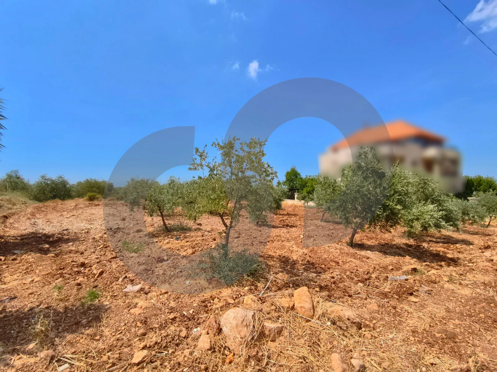 Land for Sale in Zgharta