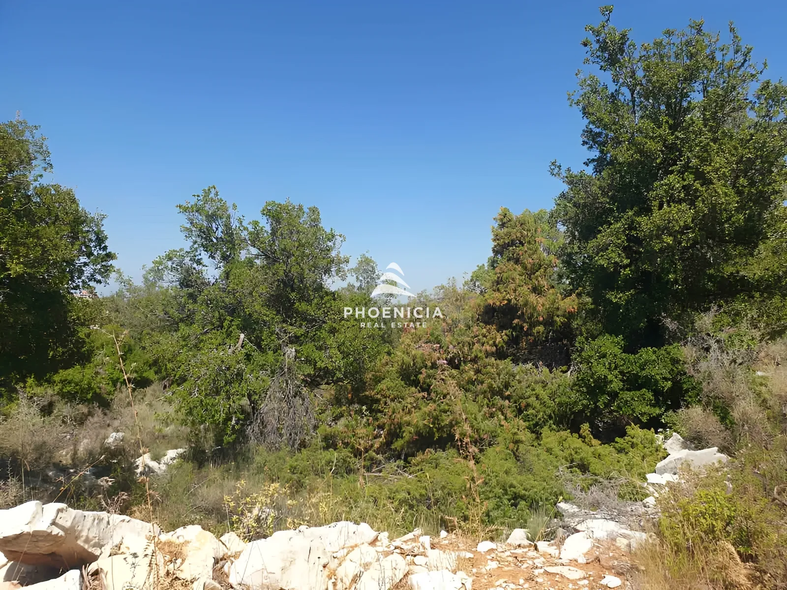 Land for Sale in Mechmech