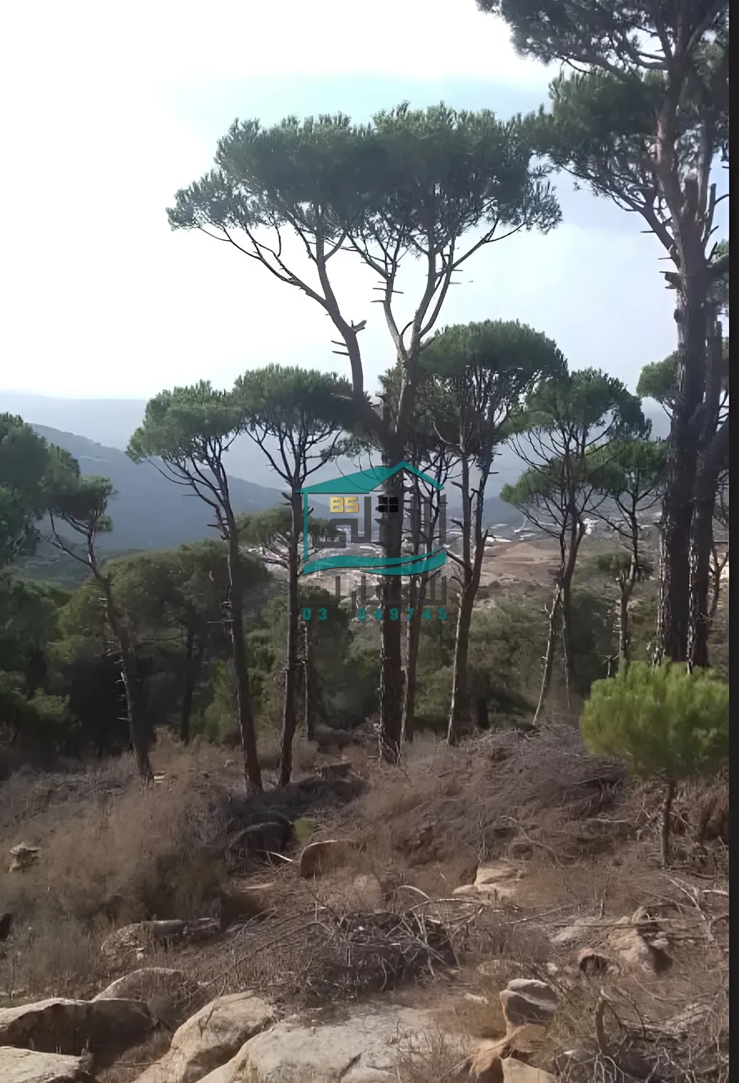 Land in الكفير، حاصبيّا، lebanon